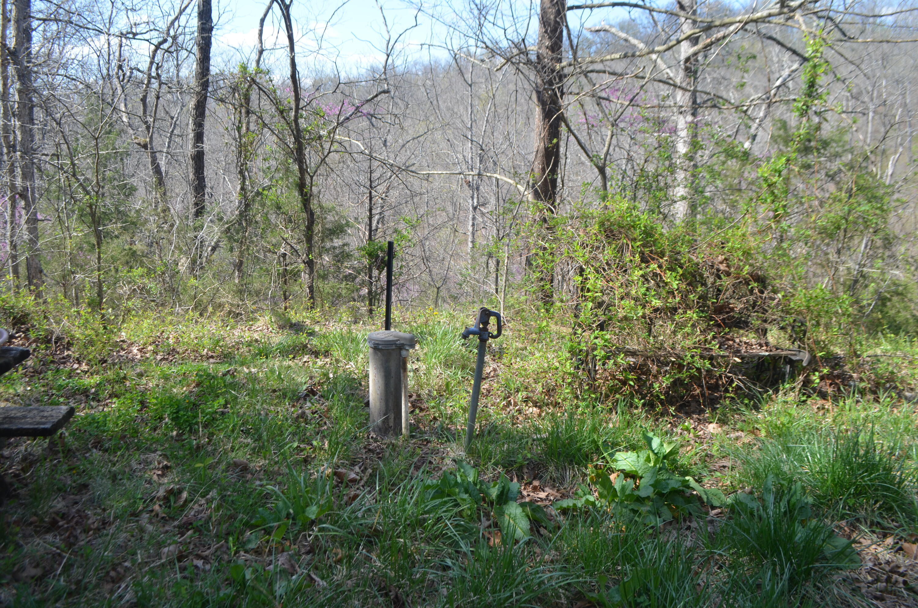 580 Paradise Lane Property Photo 6
