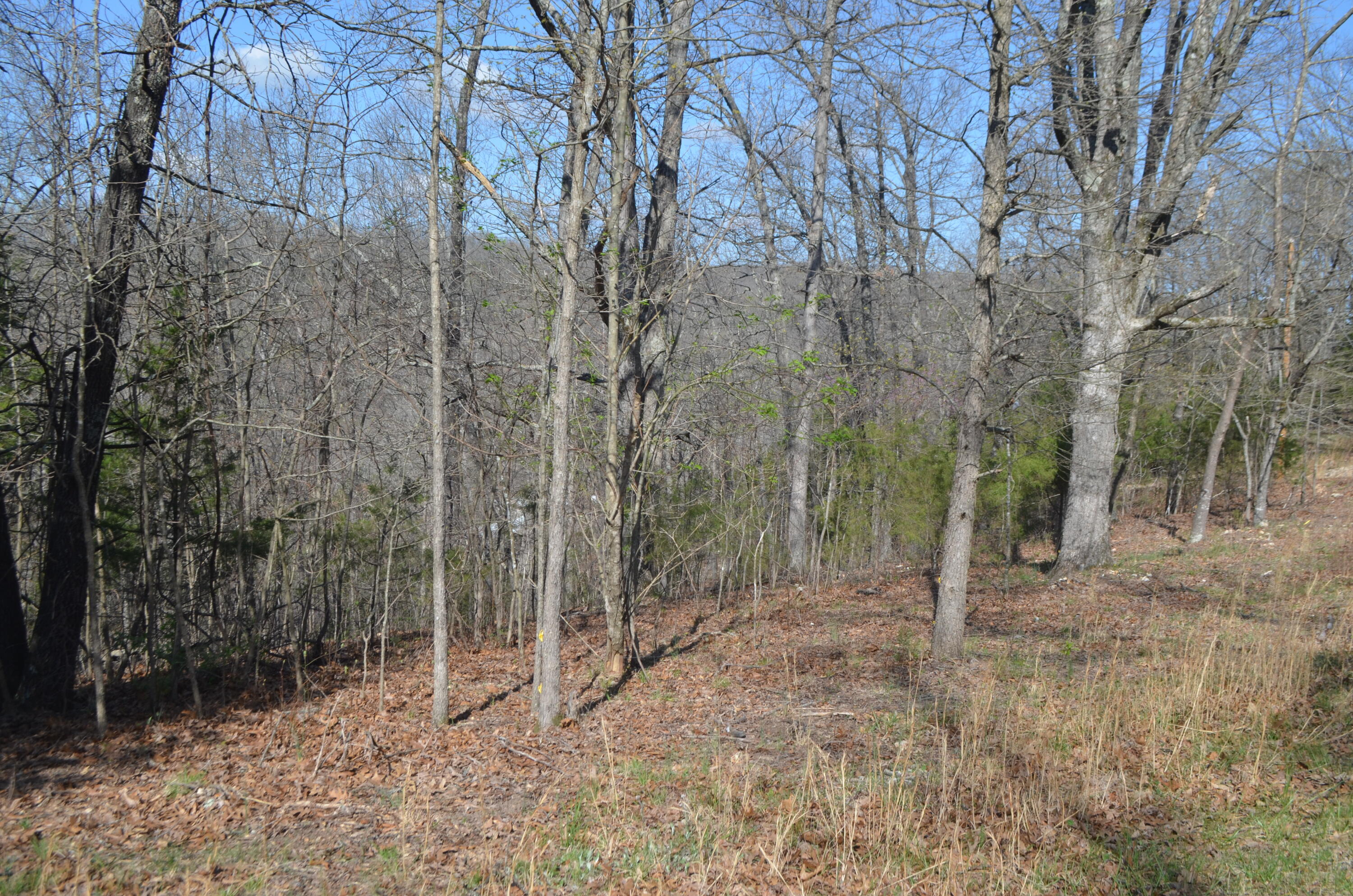 580 Paradise Lane Property Photo 10