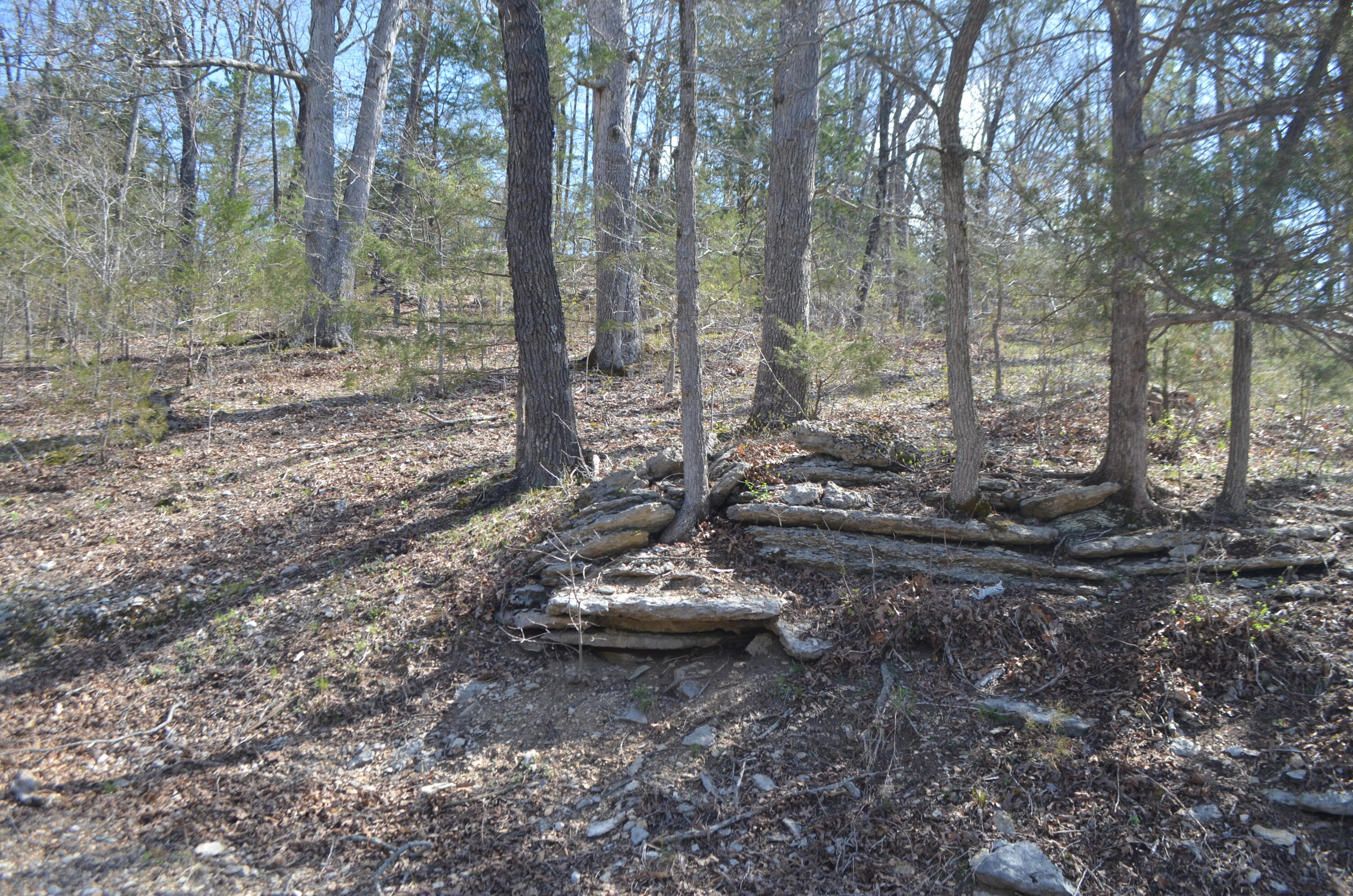 580 Paradise Lane Property Photo 11