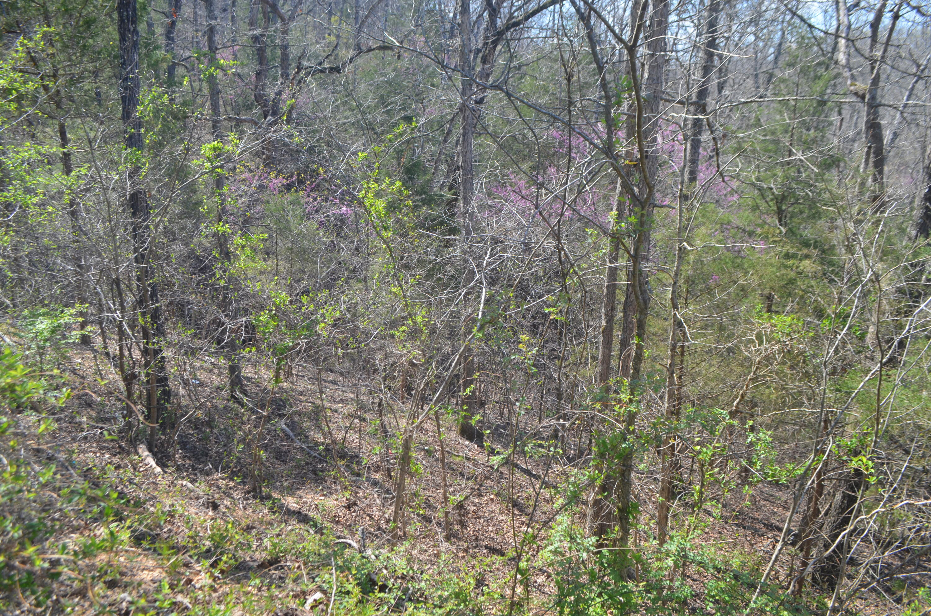 580 Paradise Lane Property Photo 12