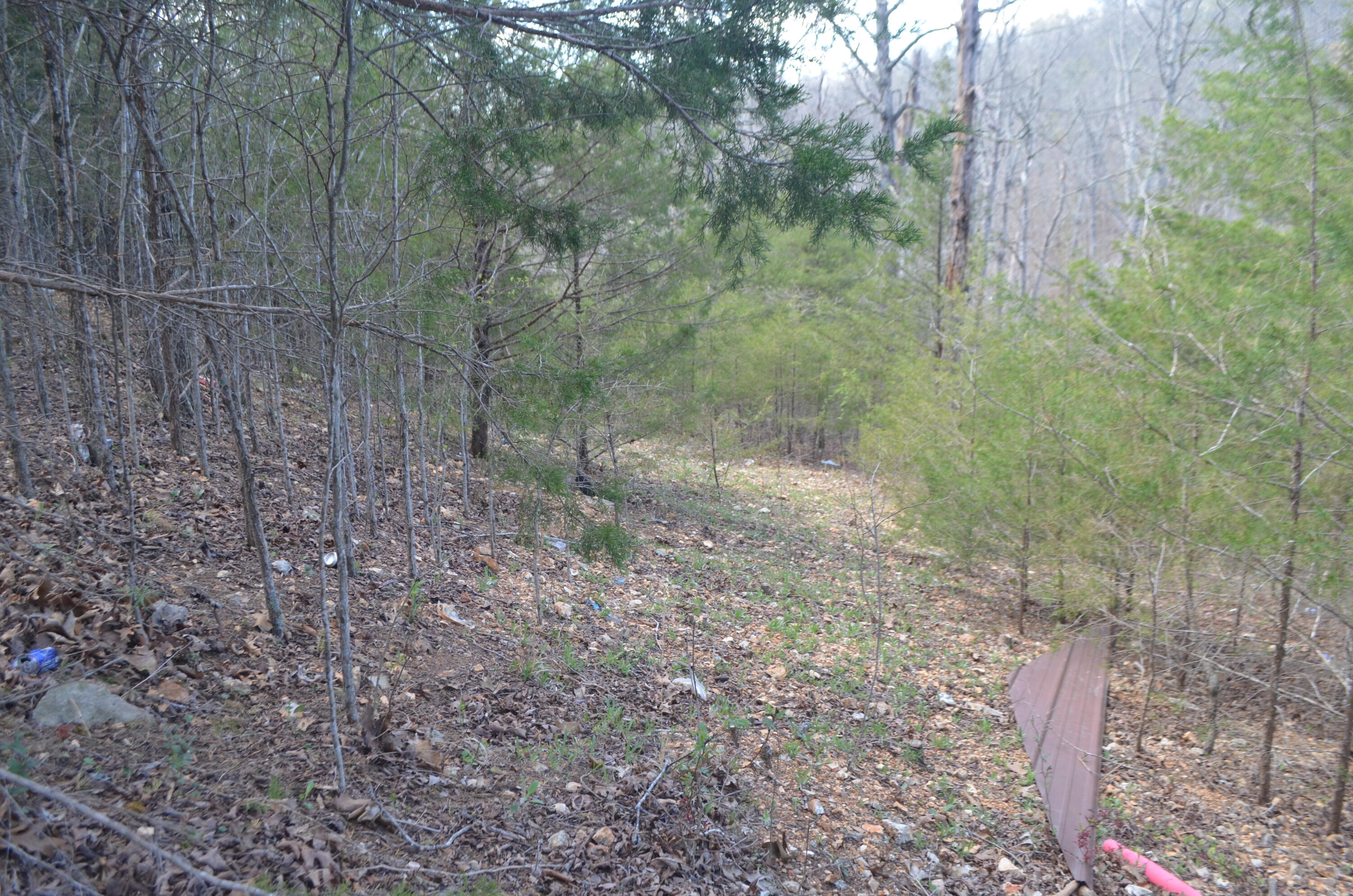 580 Paradise Lane Property Photo 13