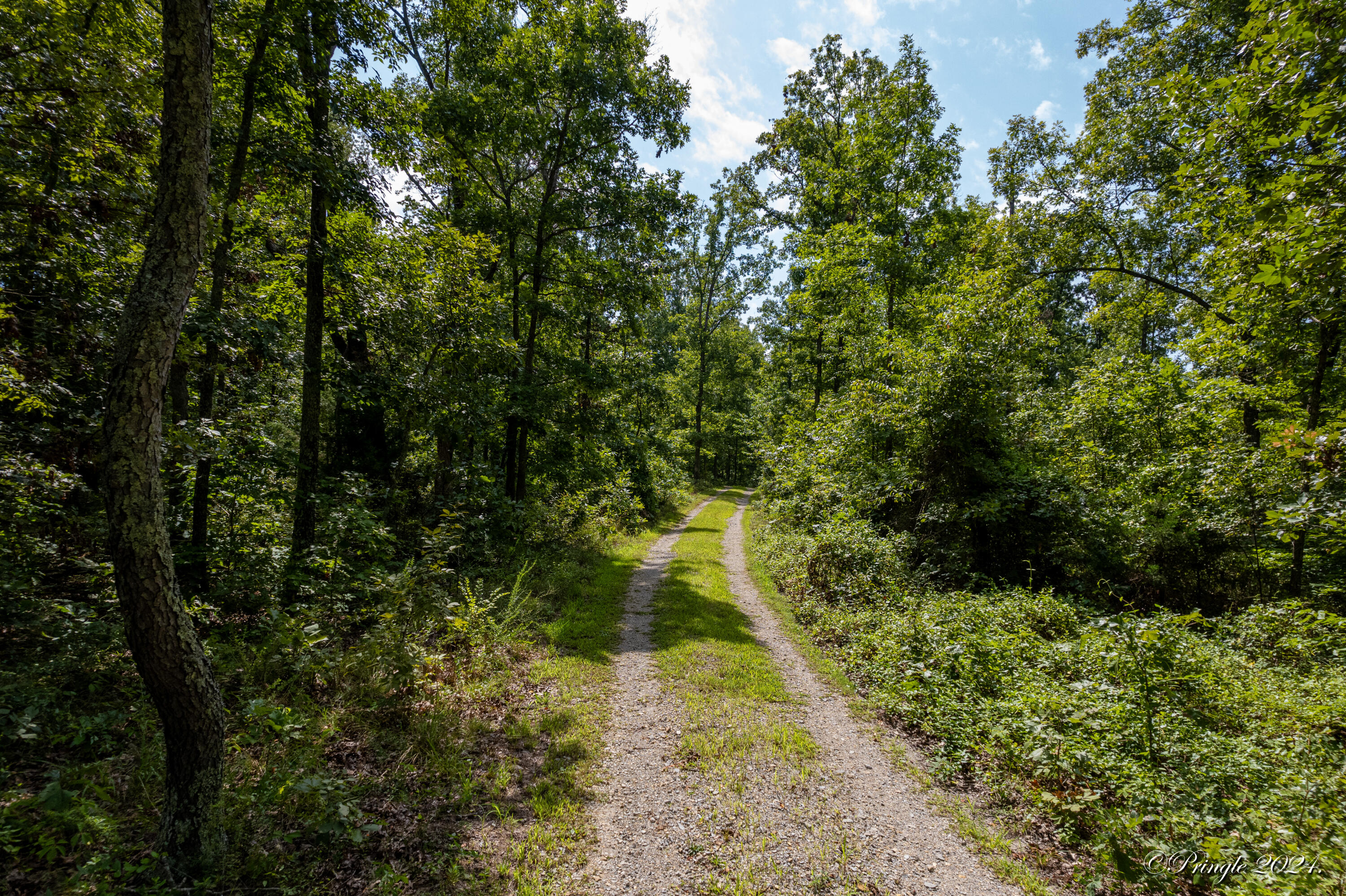 7309 County Road 5090 Property Photo 11
