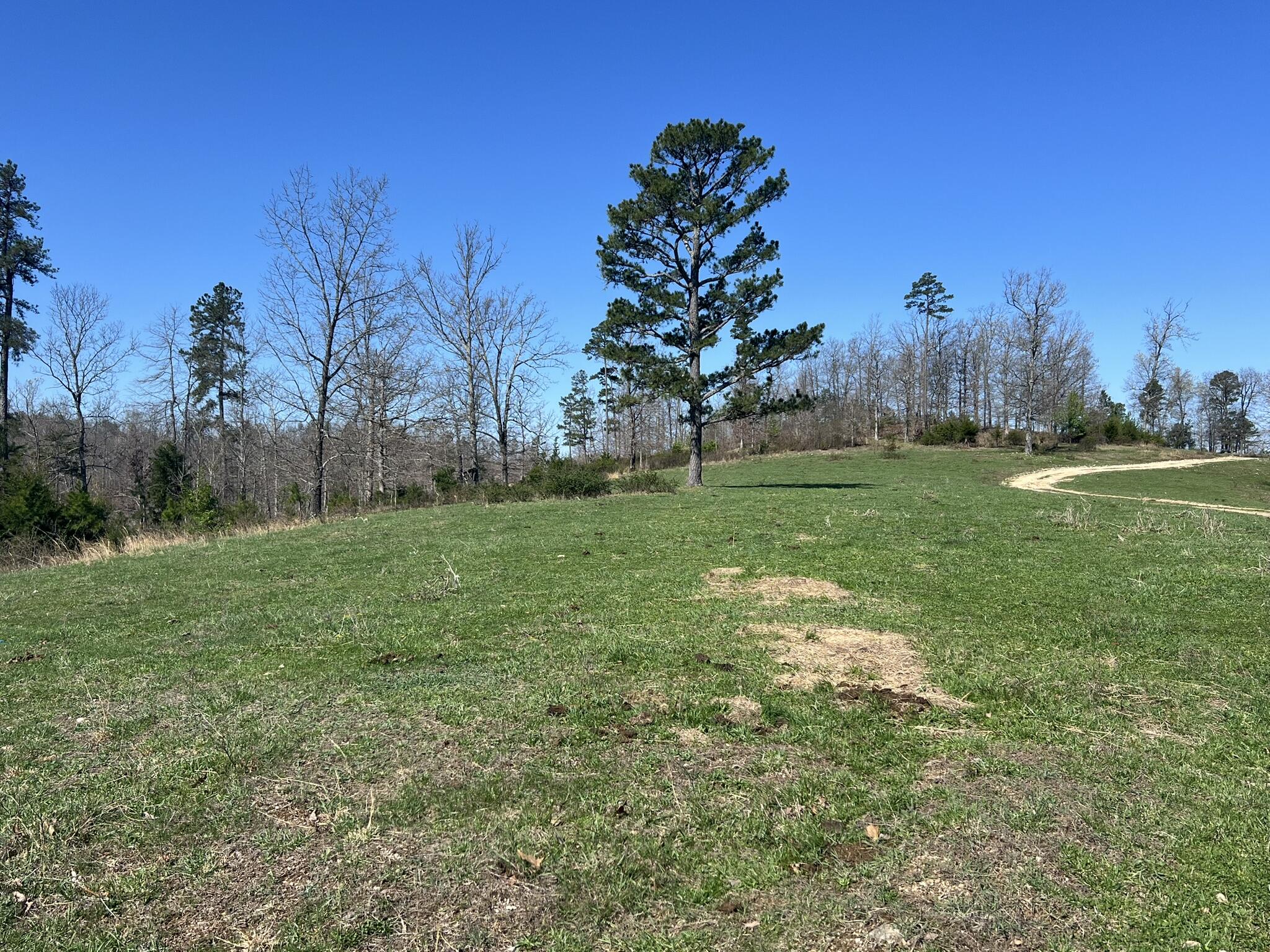 000 County Road 1130 Property Photo 5