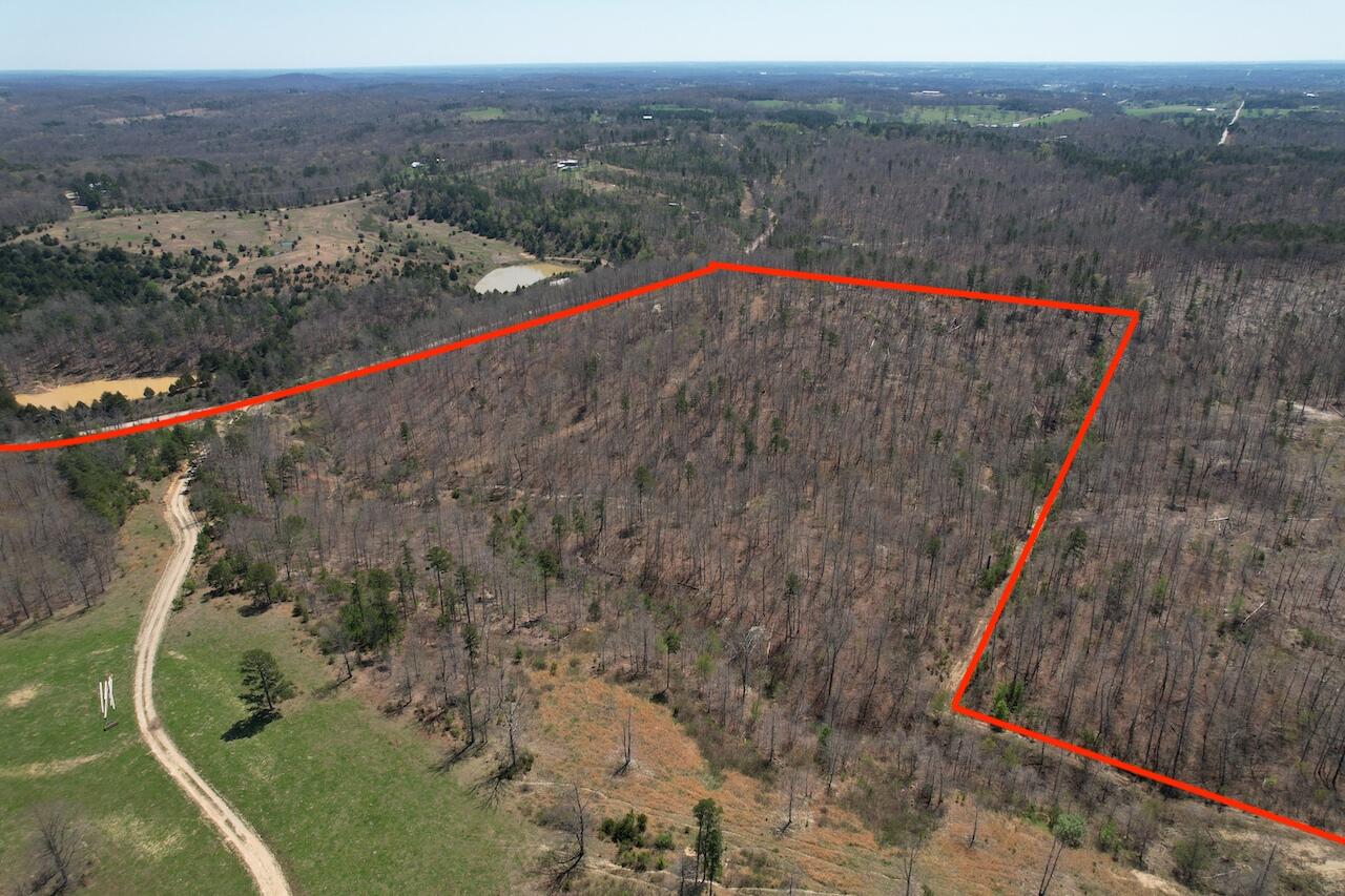 000 County Road 1130 Property Photo 6