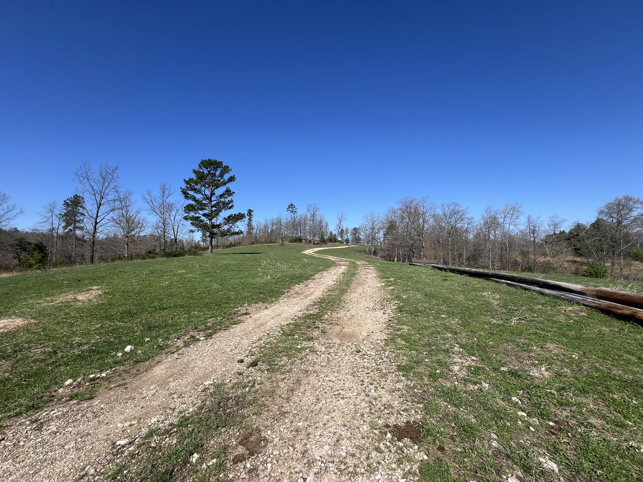 000 County Road 1130 Property Photo 9
