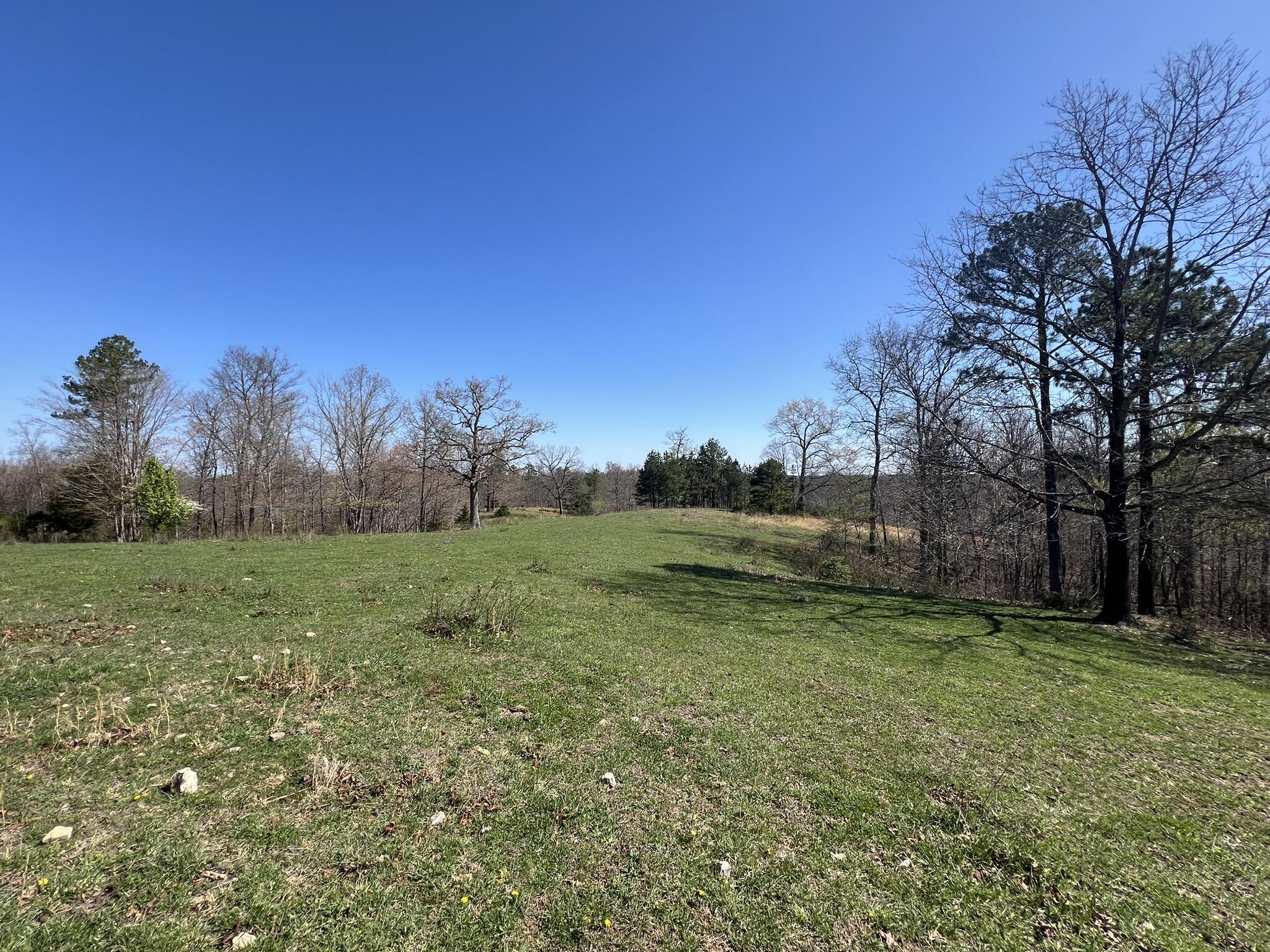 000 County Road 1130 Property Photo 10