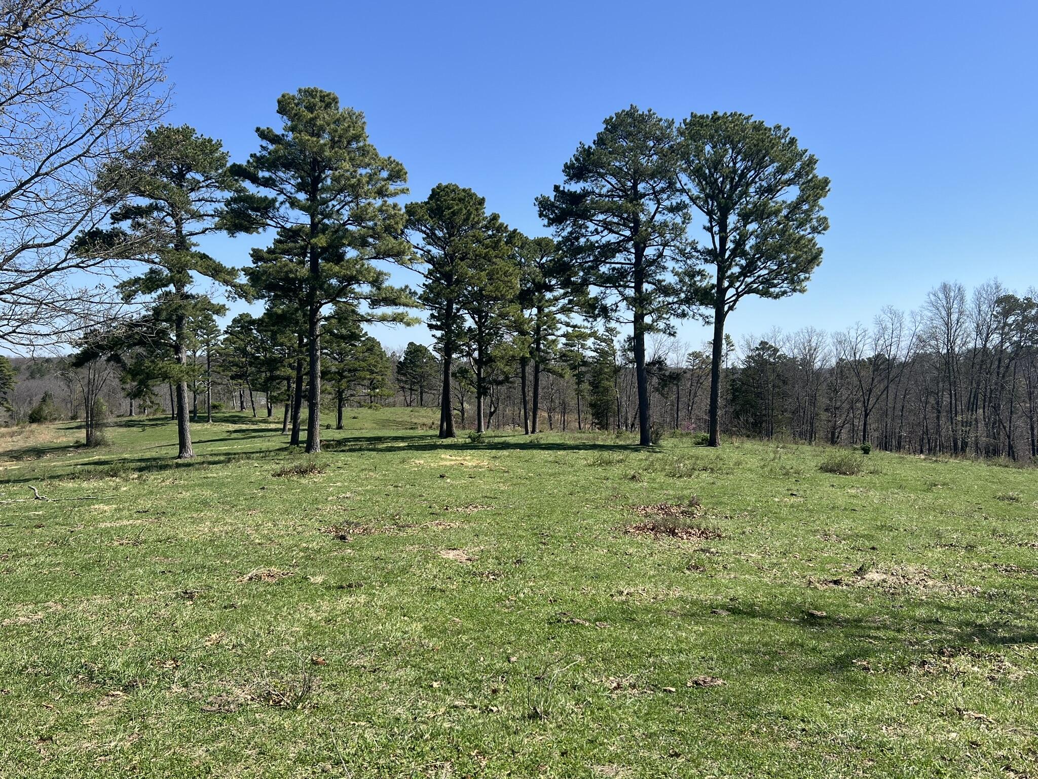 000 County Road 1130 Property Photo 13