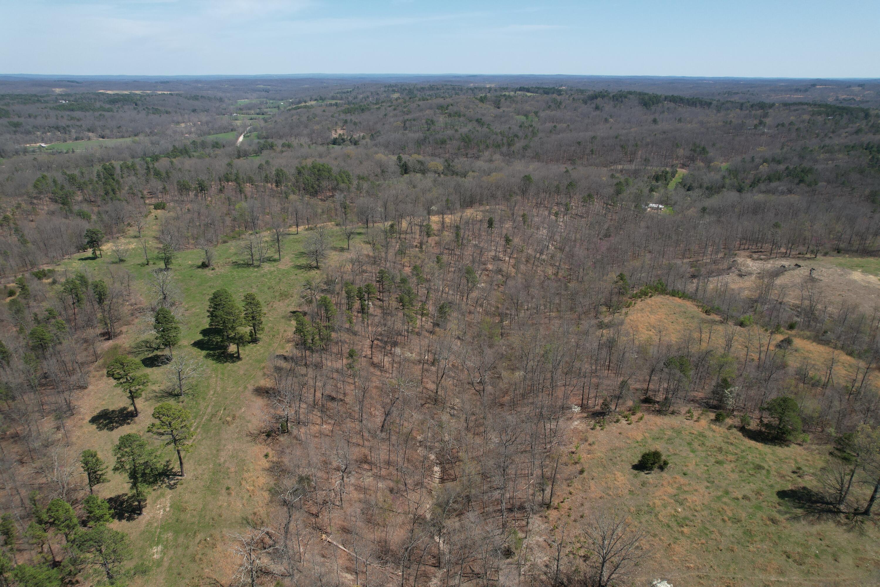 000 County Road 1130 Property Photo 14
