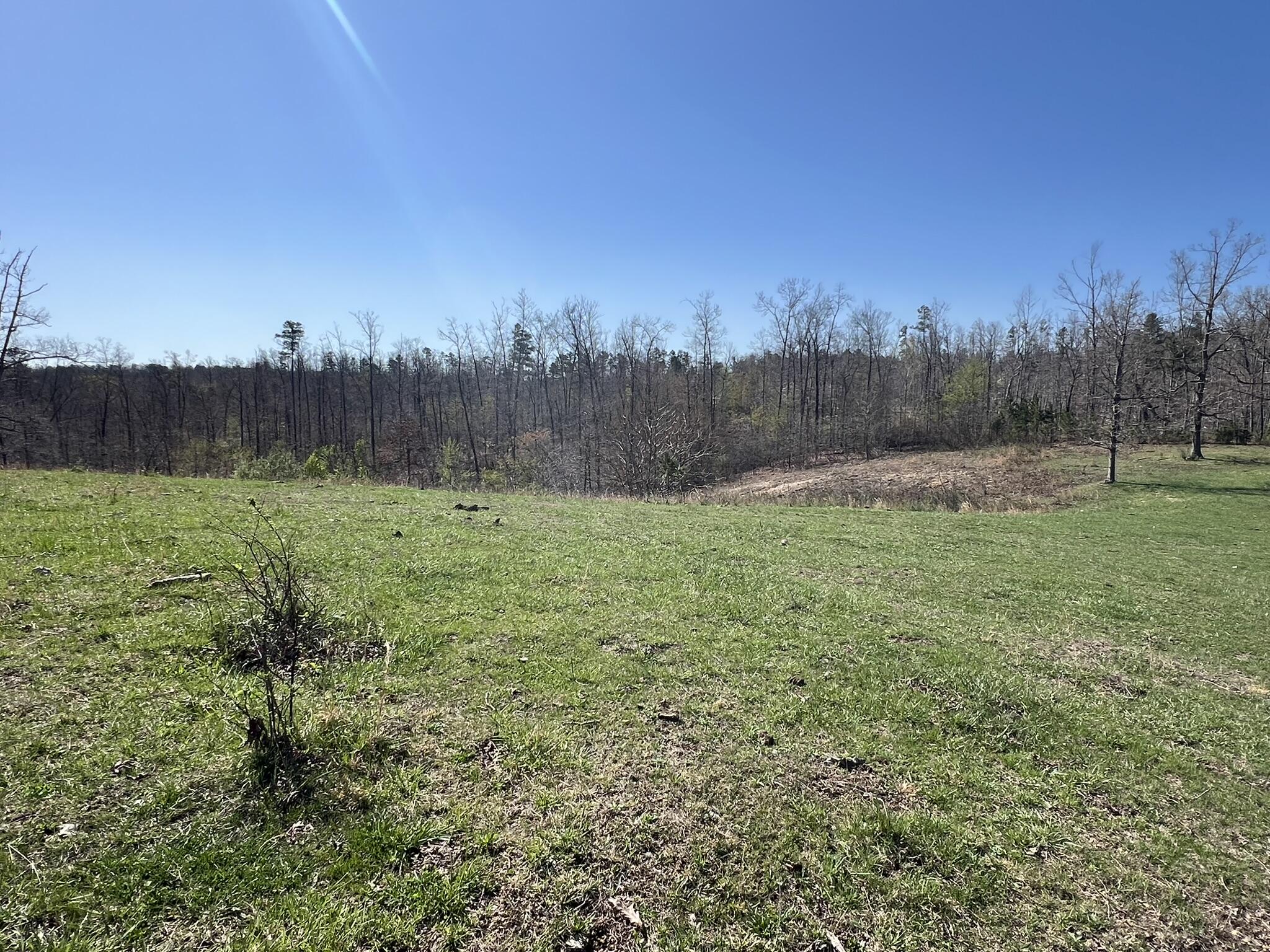 000 County Road 1130 Property Photo 16