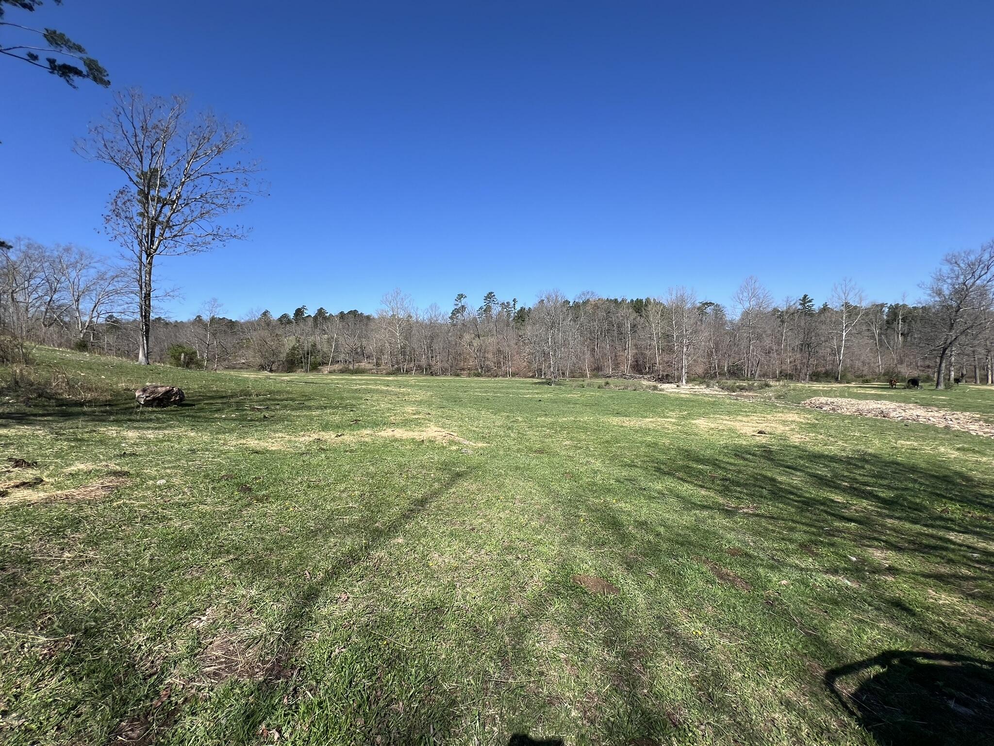 000 County Road 1130 Property Photo 21