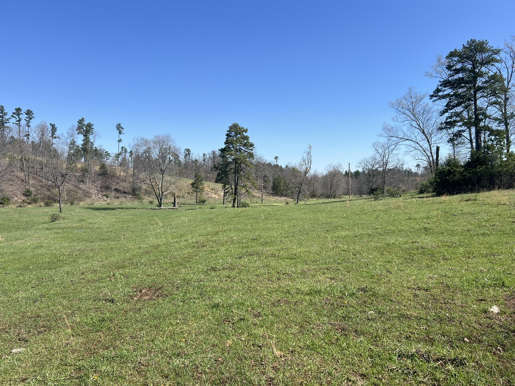 000 County Road 1130 Property Photo 28
