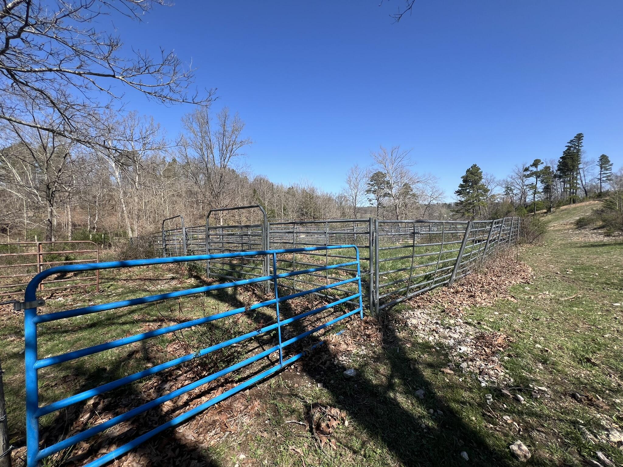 000 County Road 1130 Property Photo 48