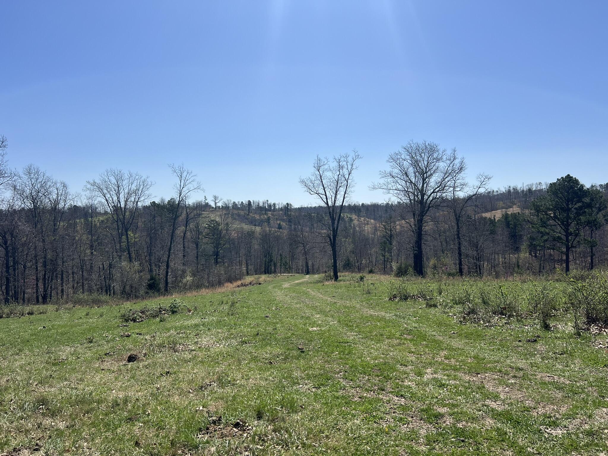 000 County Road 1130 Property Photo 56