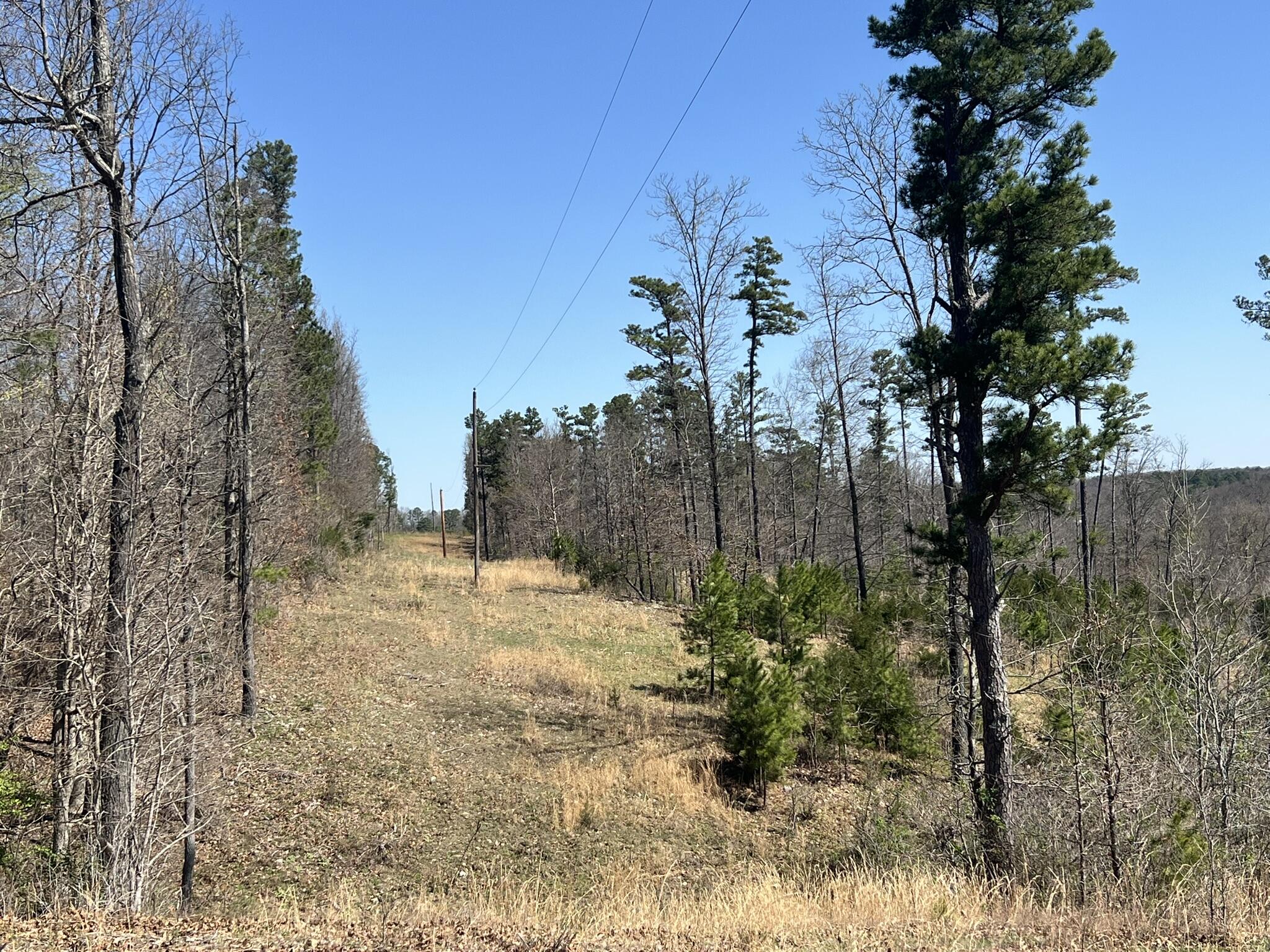 000 County Road 1130 Property Photo 57