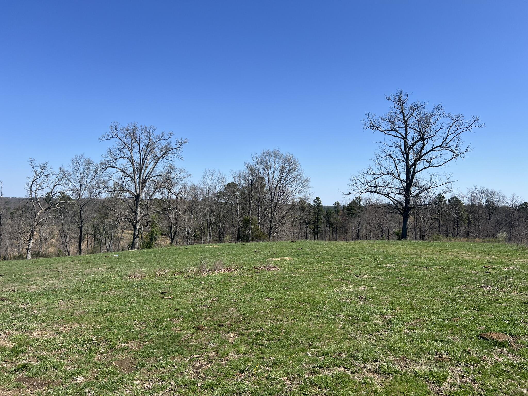 000 County Road 1130 Property Photo 61