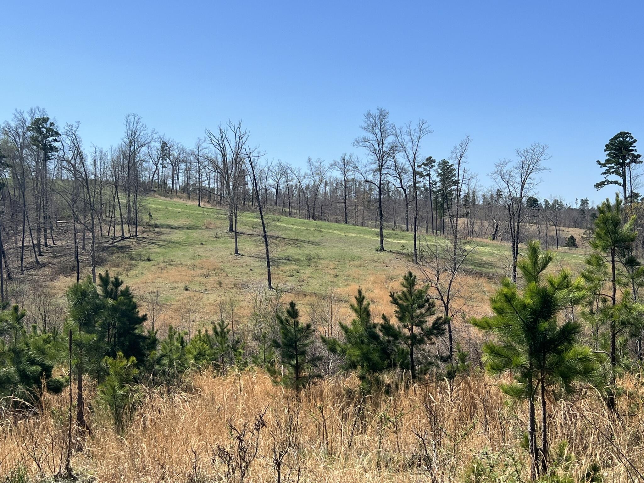 000 County Road 1130 Property Photo 63