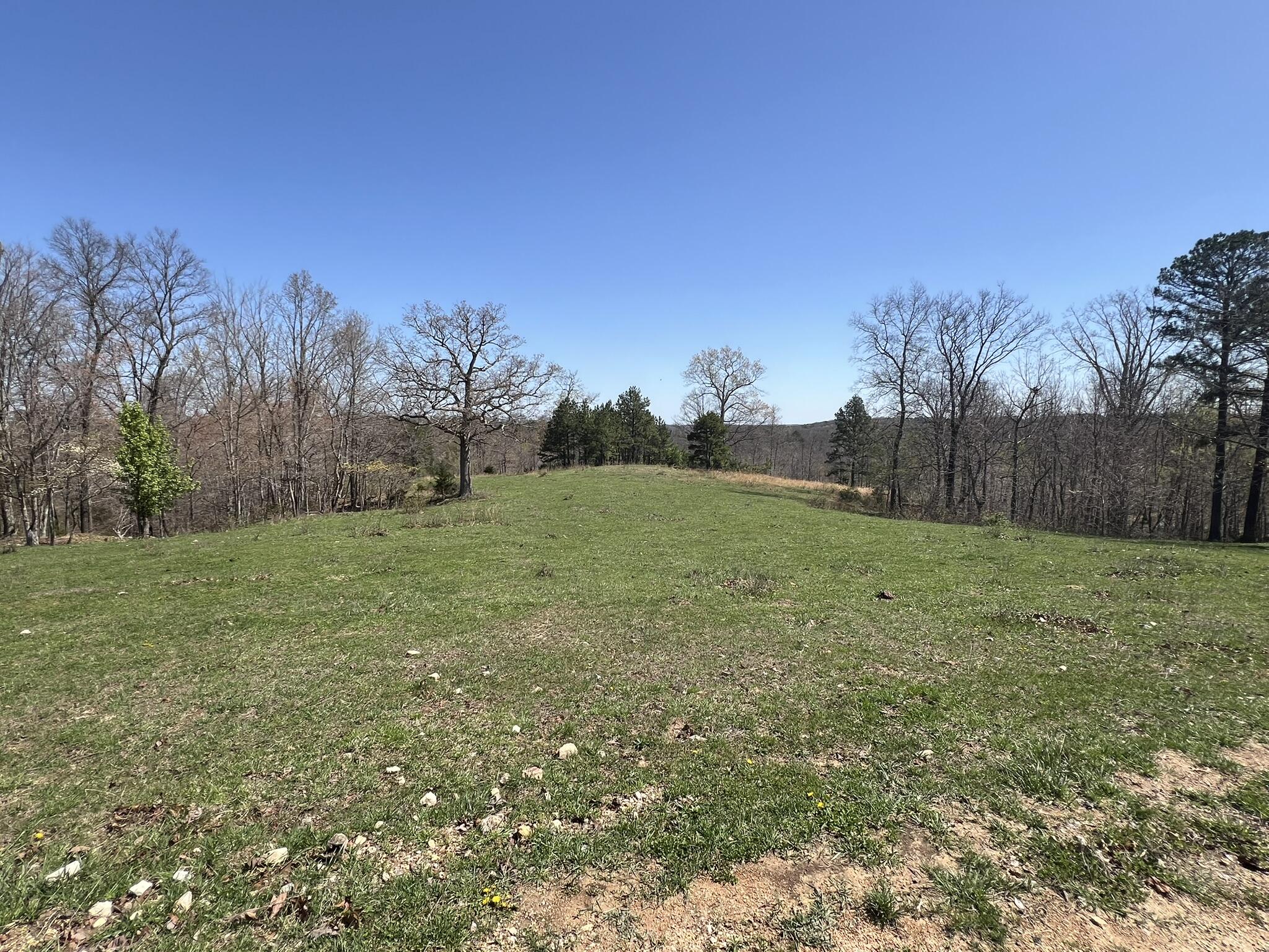 000 County Road 1130 Property Photo 65
