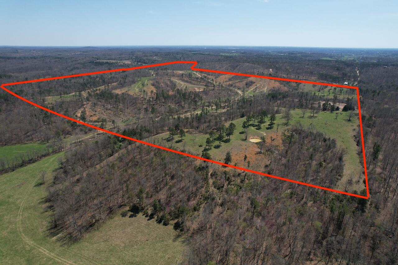 000 County Road 1130 Property Photo 67