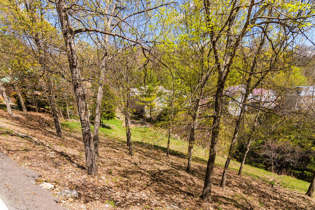 374 Slane Chapel Road Property Photo 4