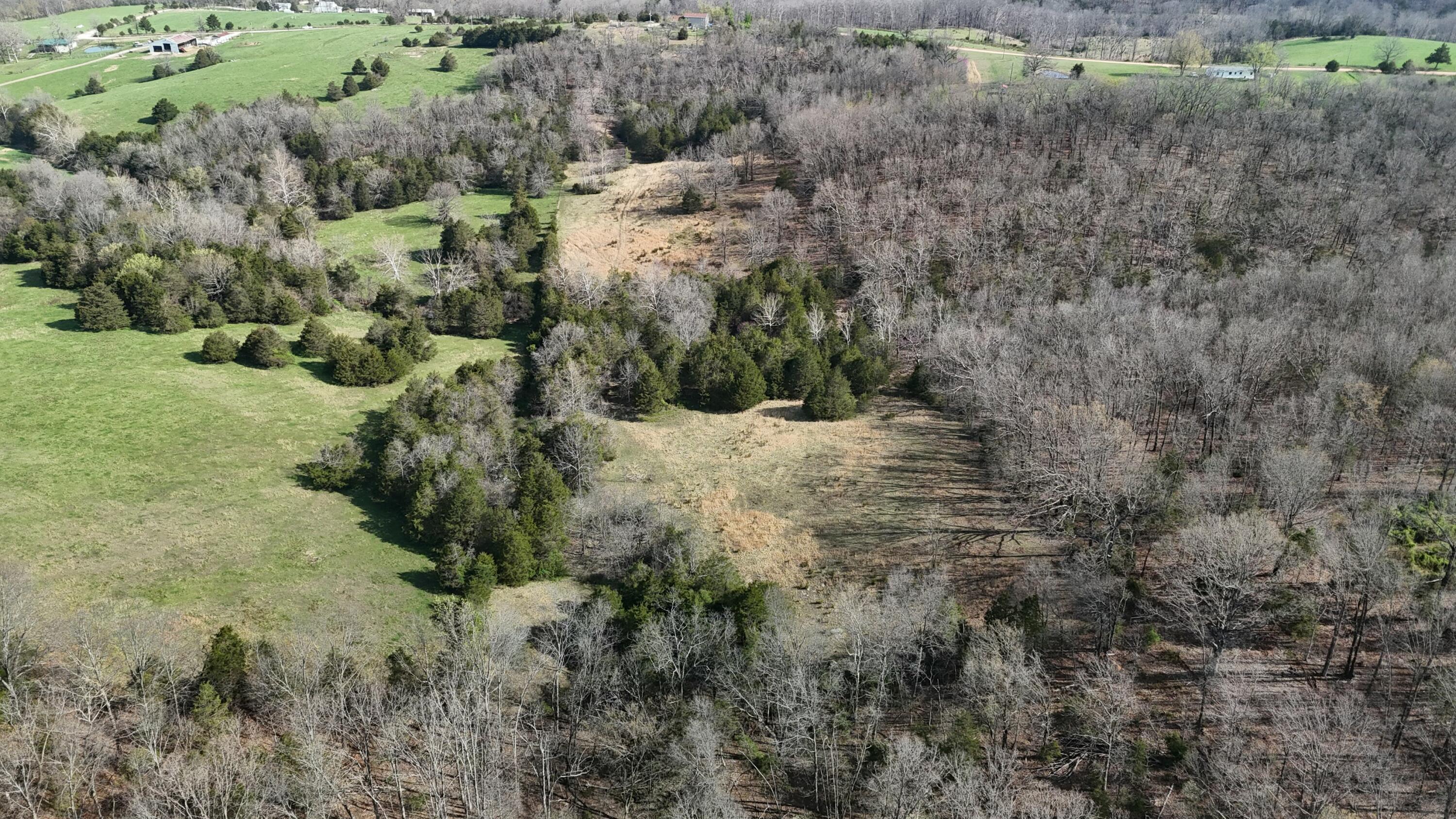 828 Burnett Road Property Photo 22