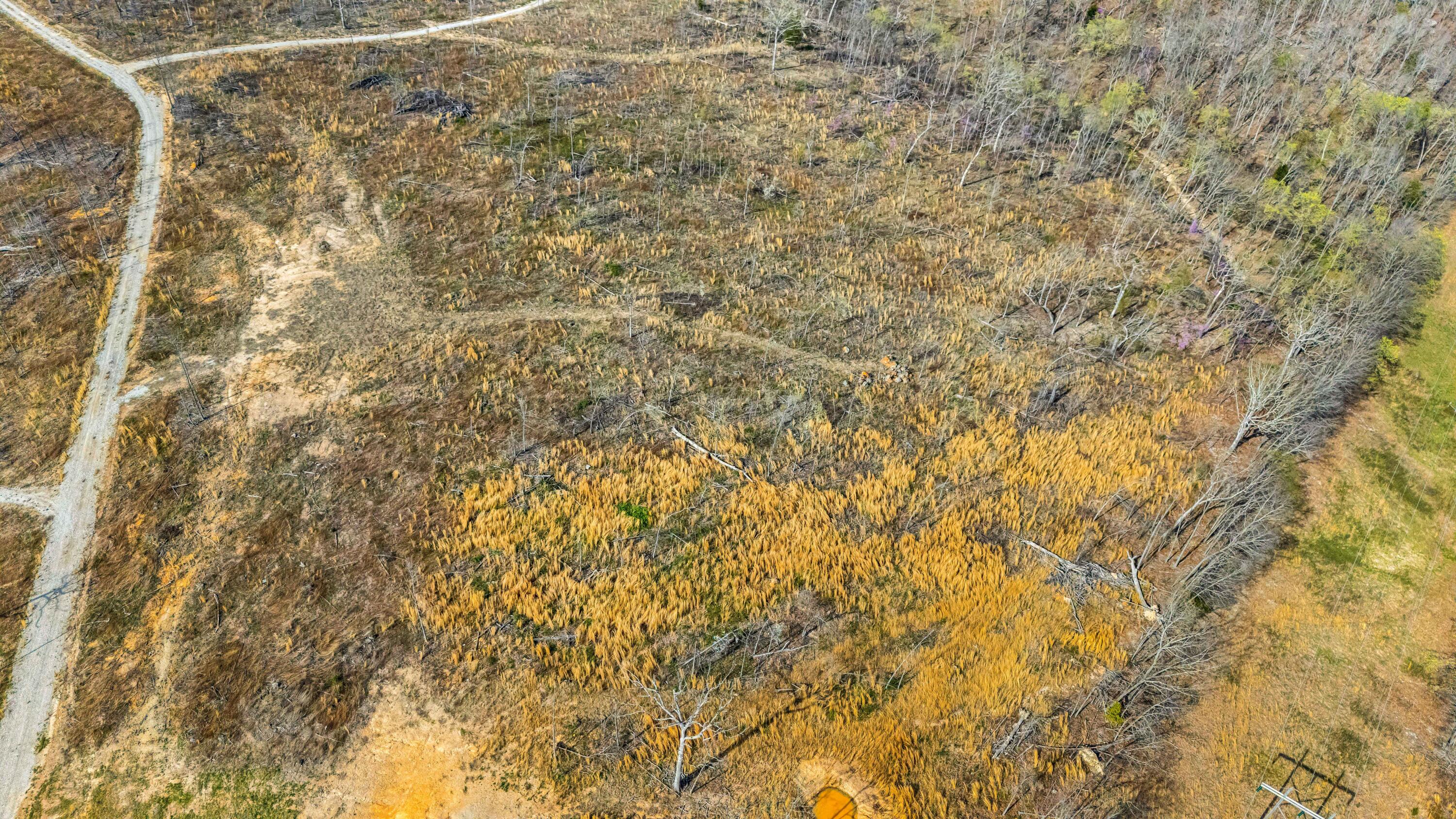 29 Wolf Creek Property Photo 12