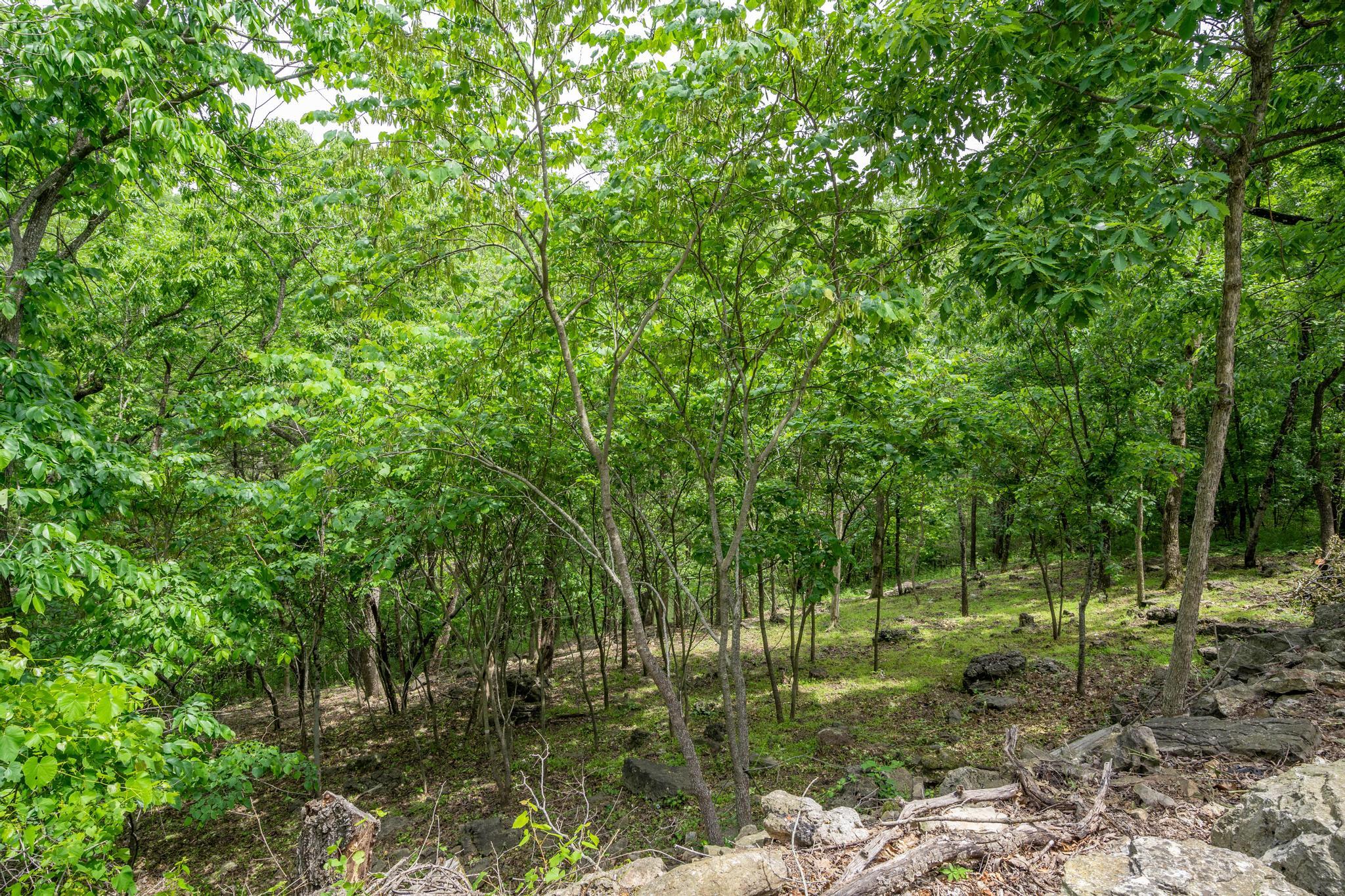 906 Little Cedar Hollow Property Photo 53