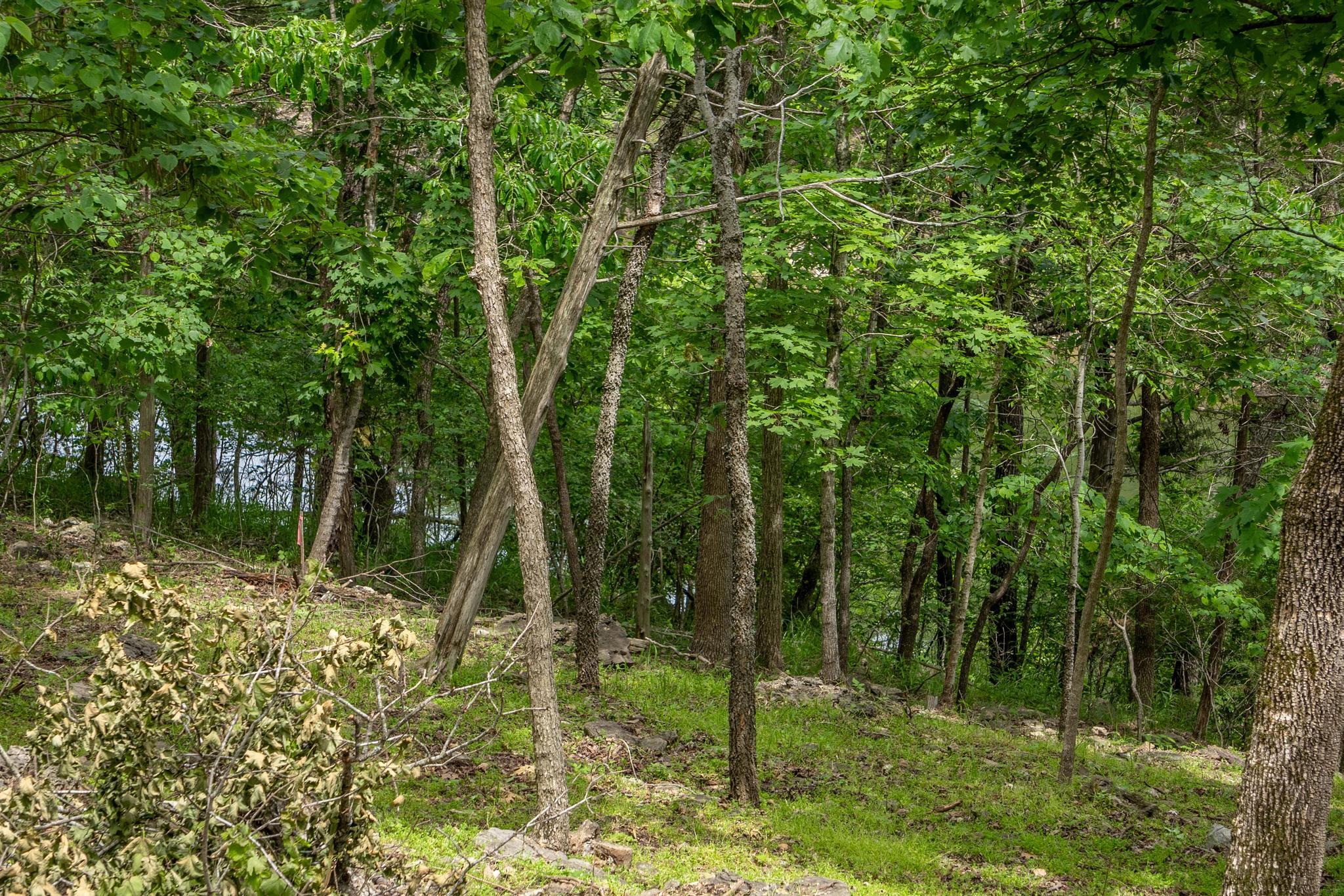 906 Little Cedar Hollow Property Photo 60