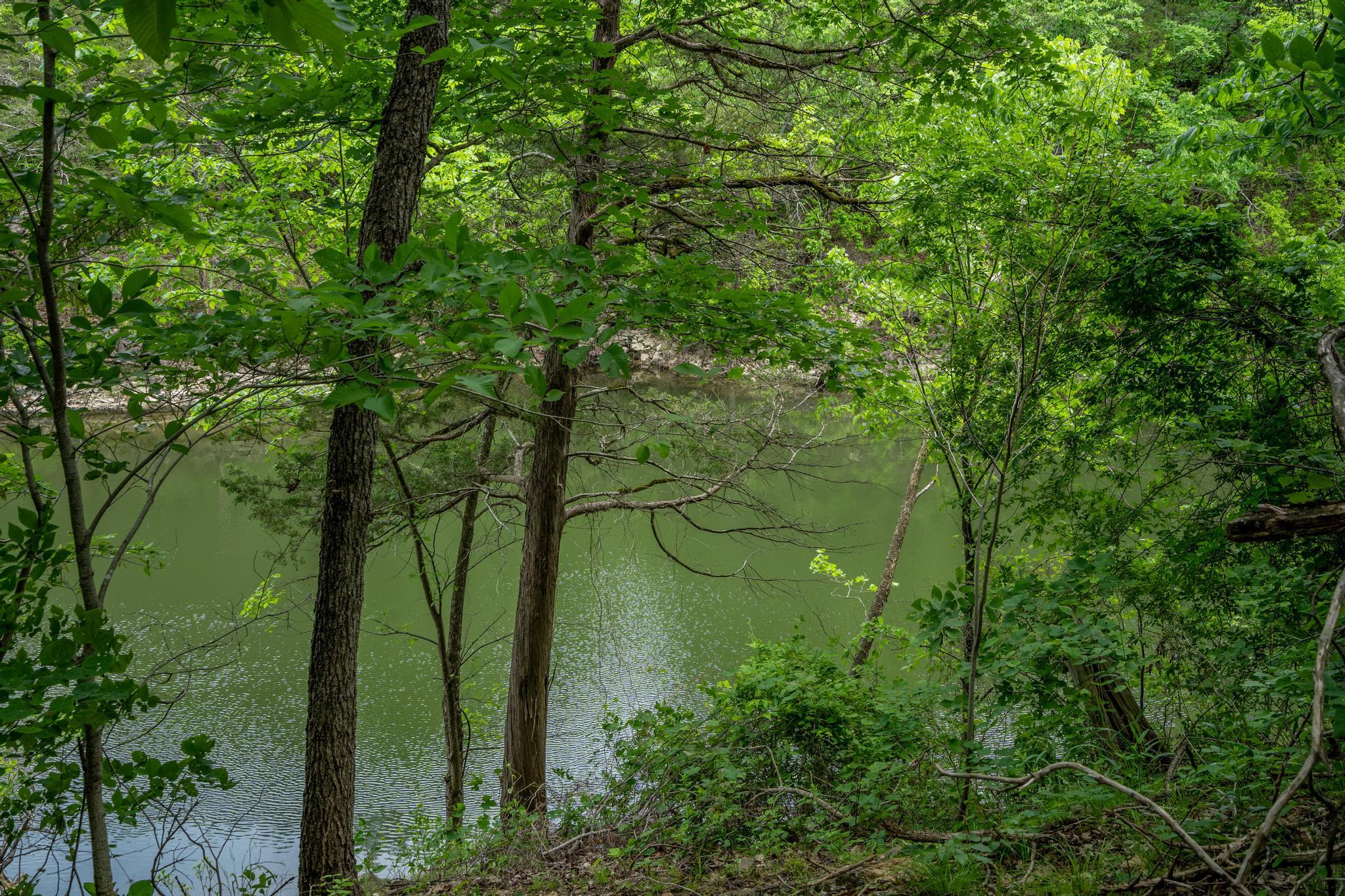 906 Little Cedar Hollow Property Photo 63