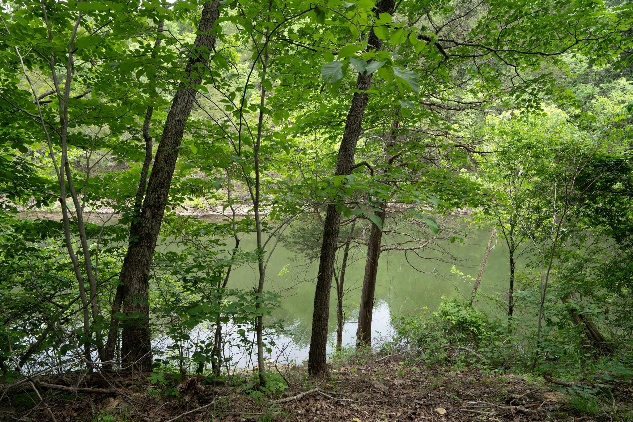 906 Little Cedar Hollow Property Photo 65