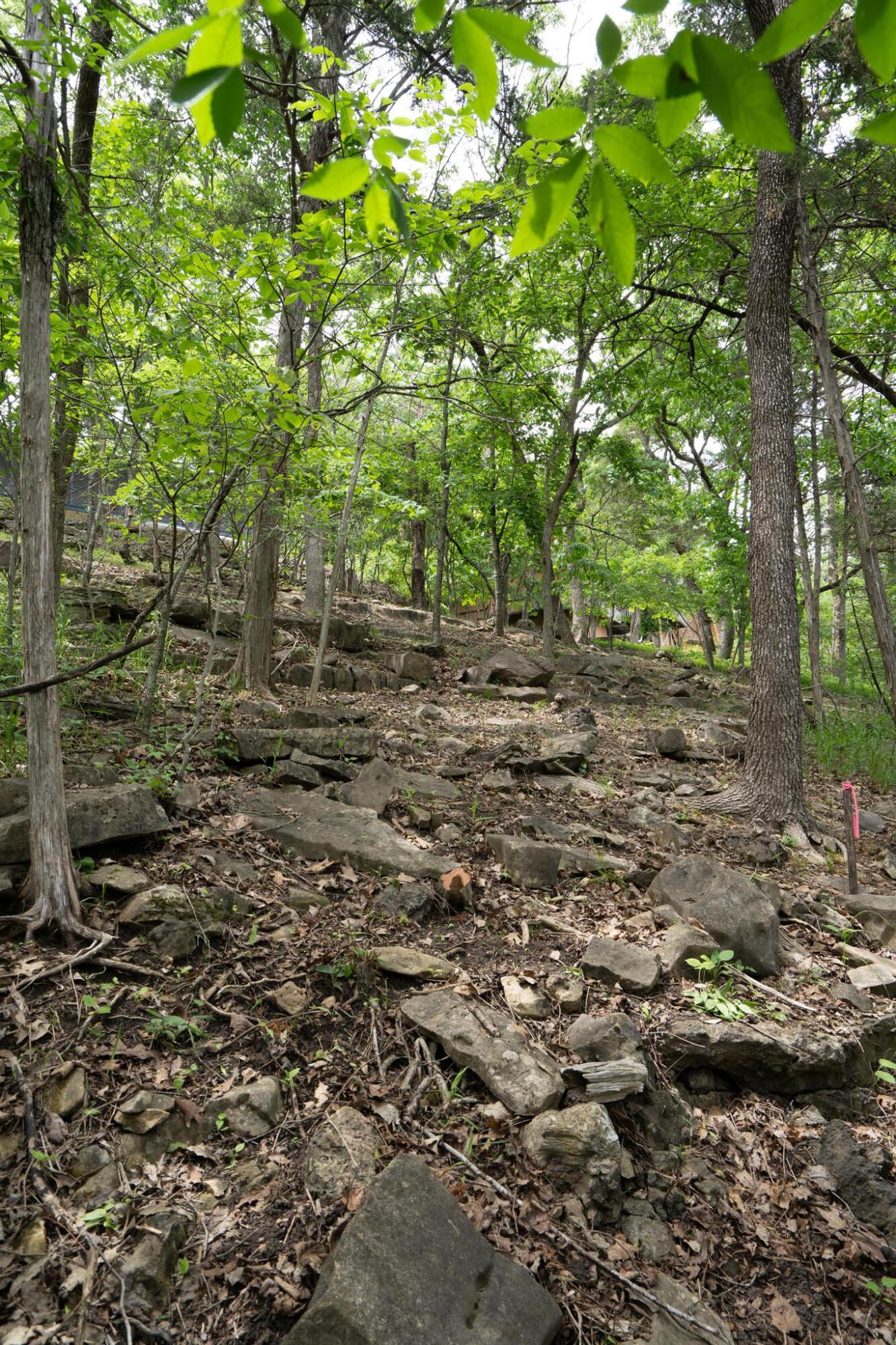 906 Little Cedar Hollow Property Photo 66