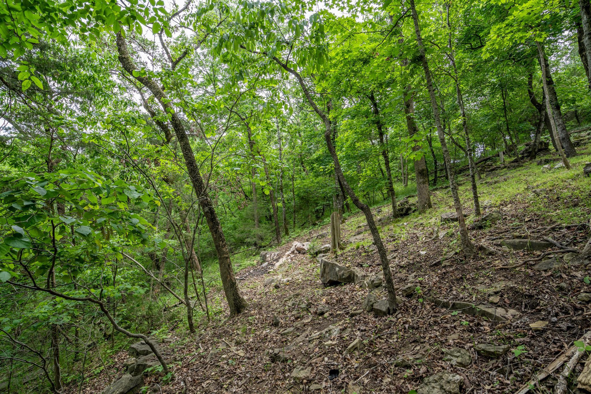 906 Little Cedar Hollow Property Photo 68