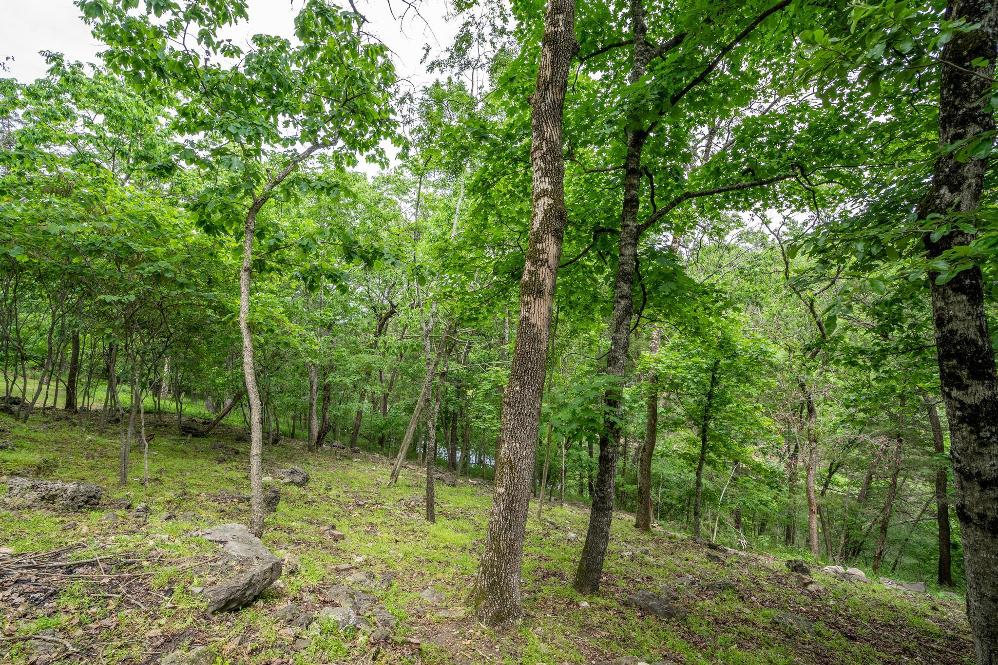 906 Little Cedar Hollow Property Photo 70