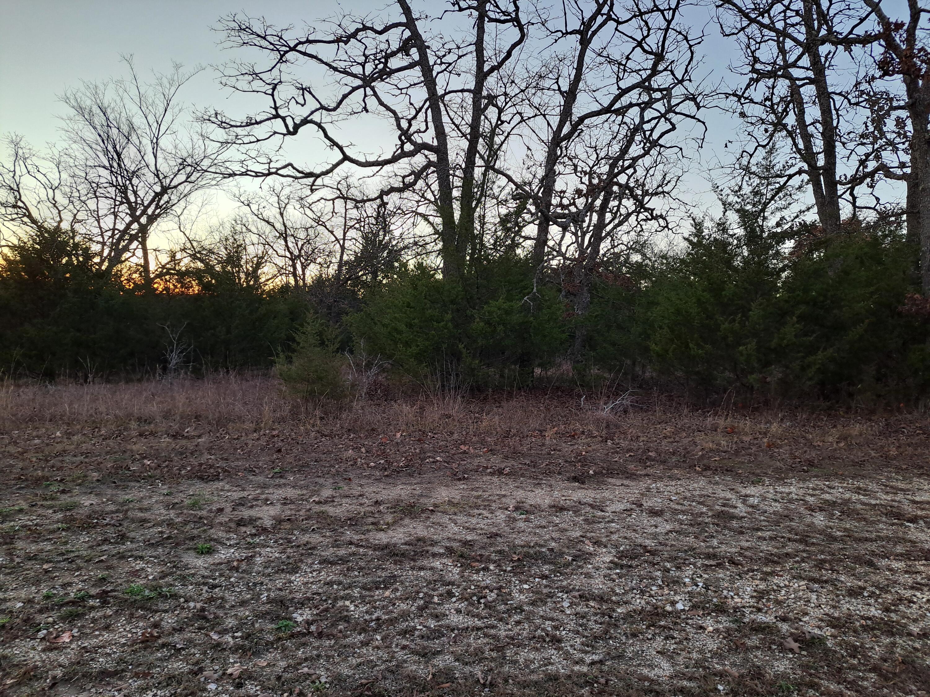 Lot 54 Forest Lake Drive Property Photo 5
