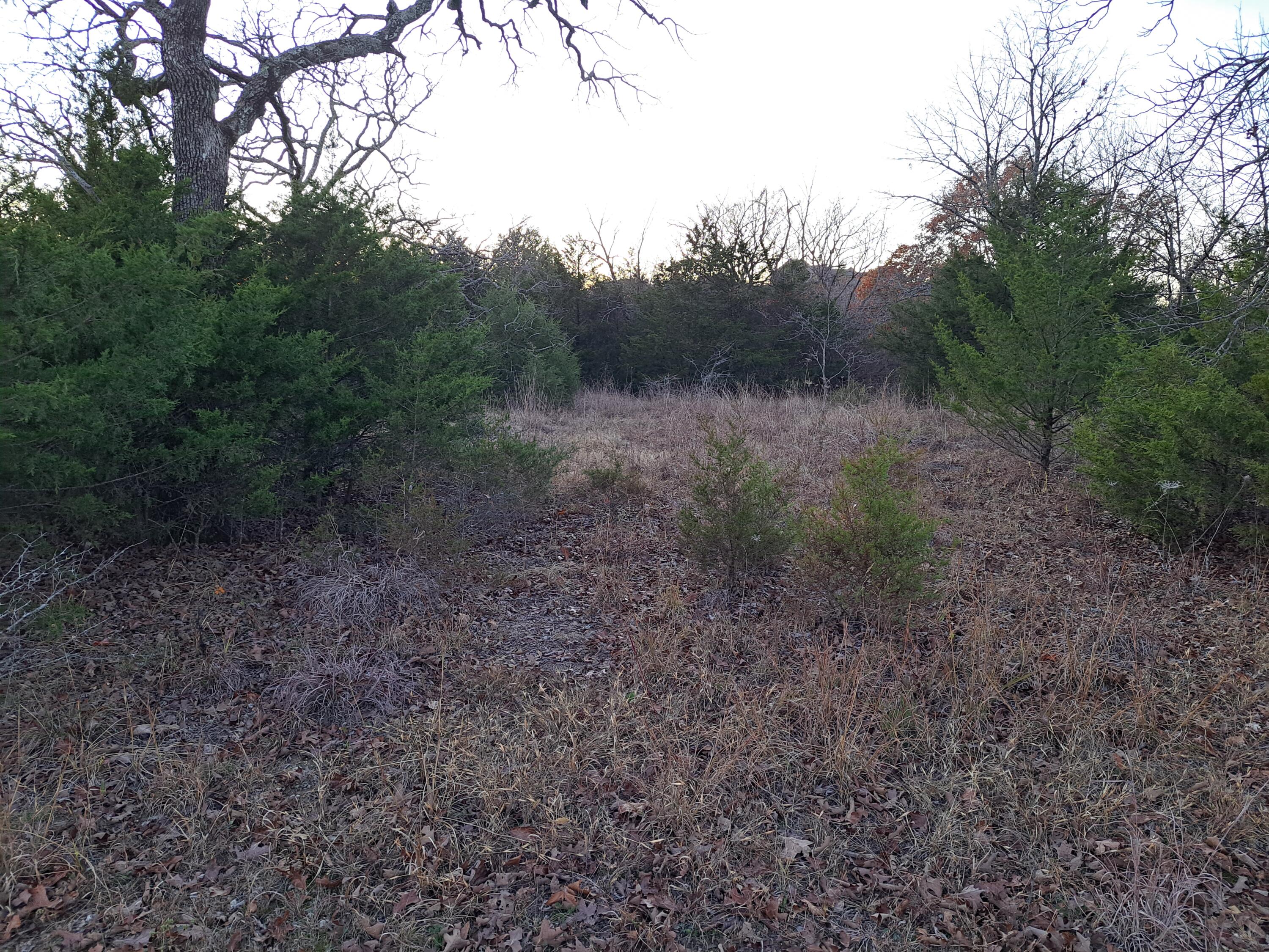 Lot 54 Forest Lake Drive Property Photo 7