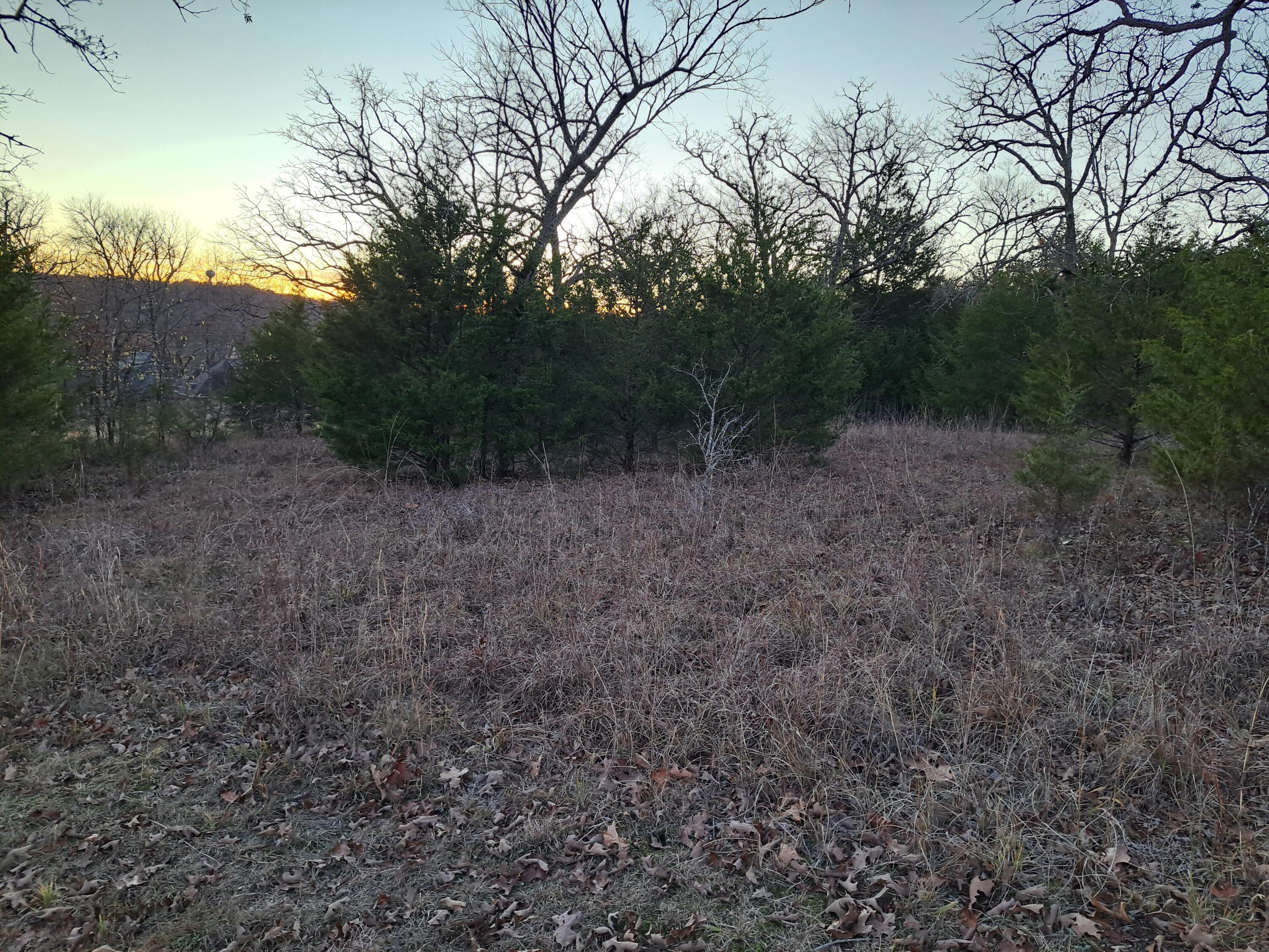Lot 54 Forest Lake Drive Property Photo 14