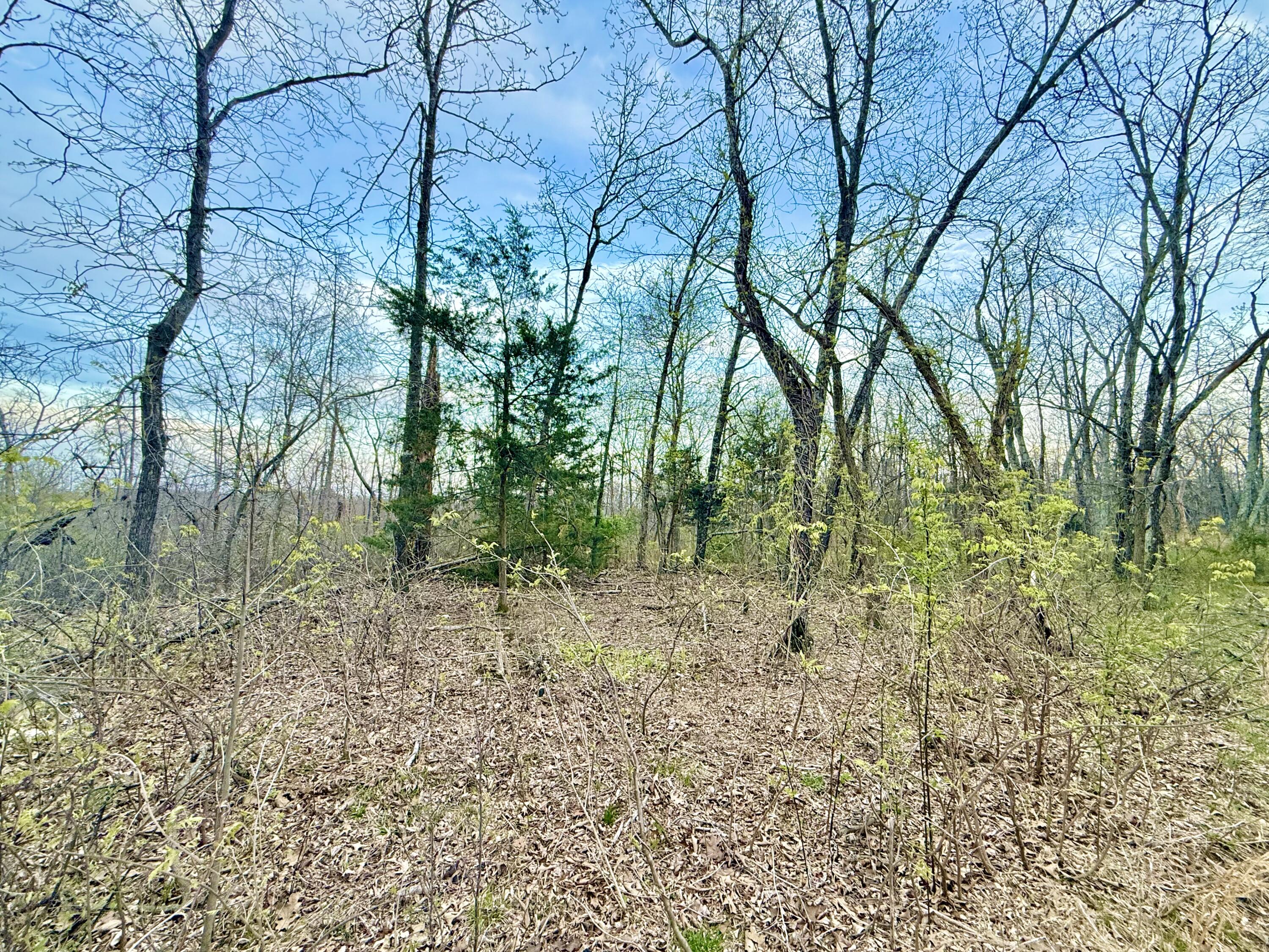 000 Huggins Road Property Photo 1