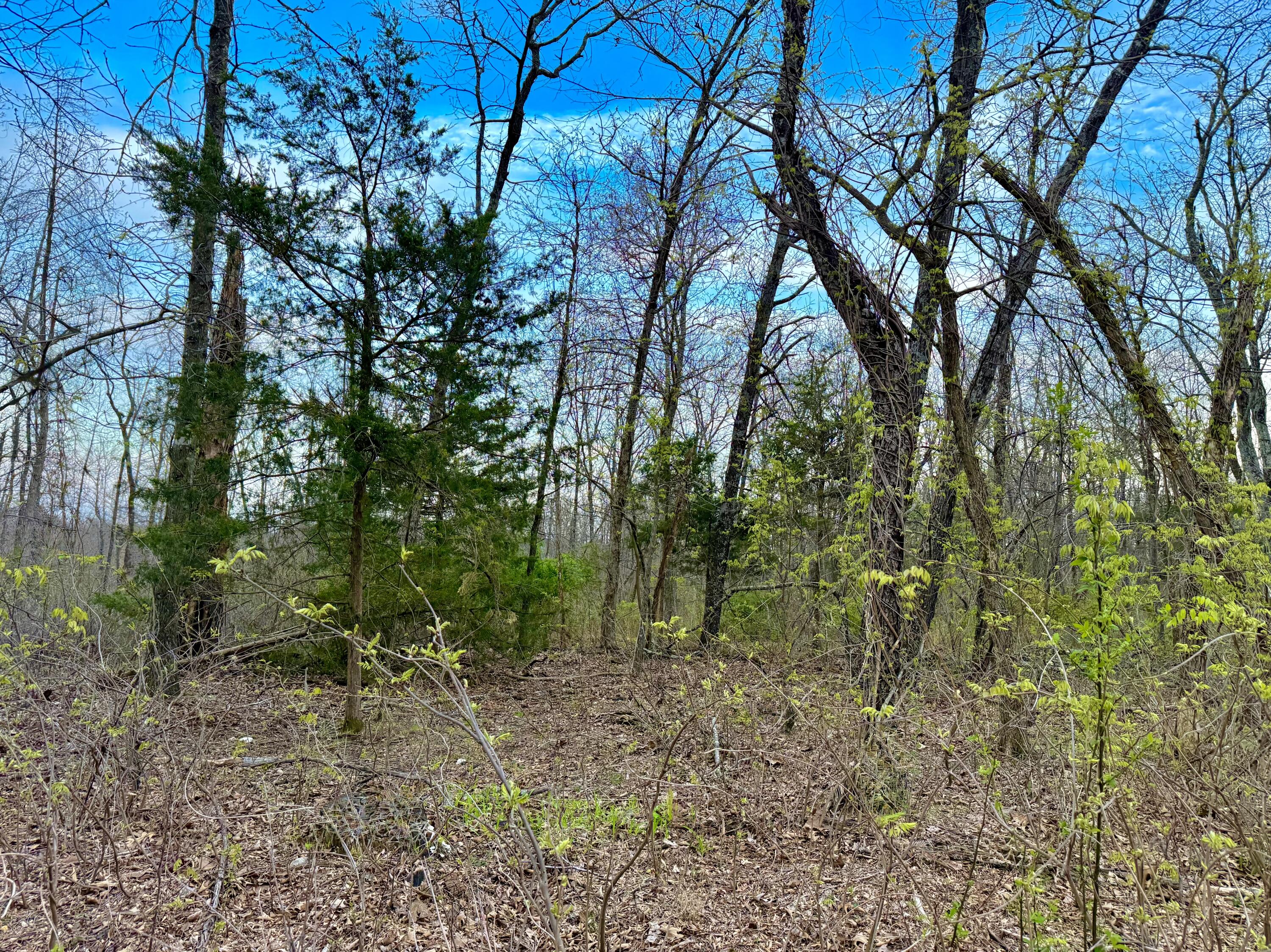 000 Huggins Road Property Photo 3