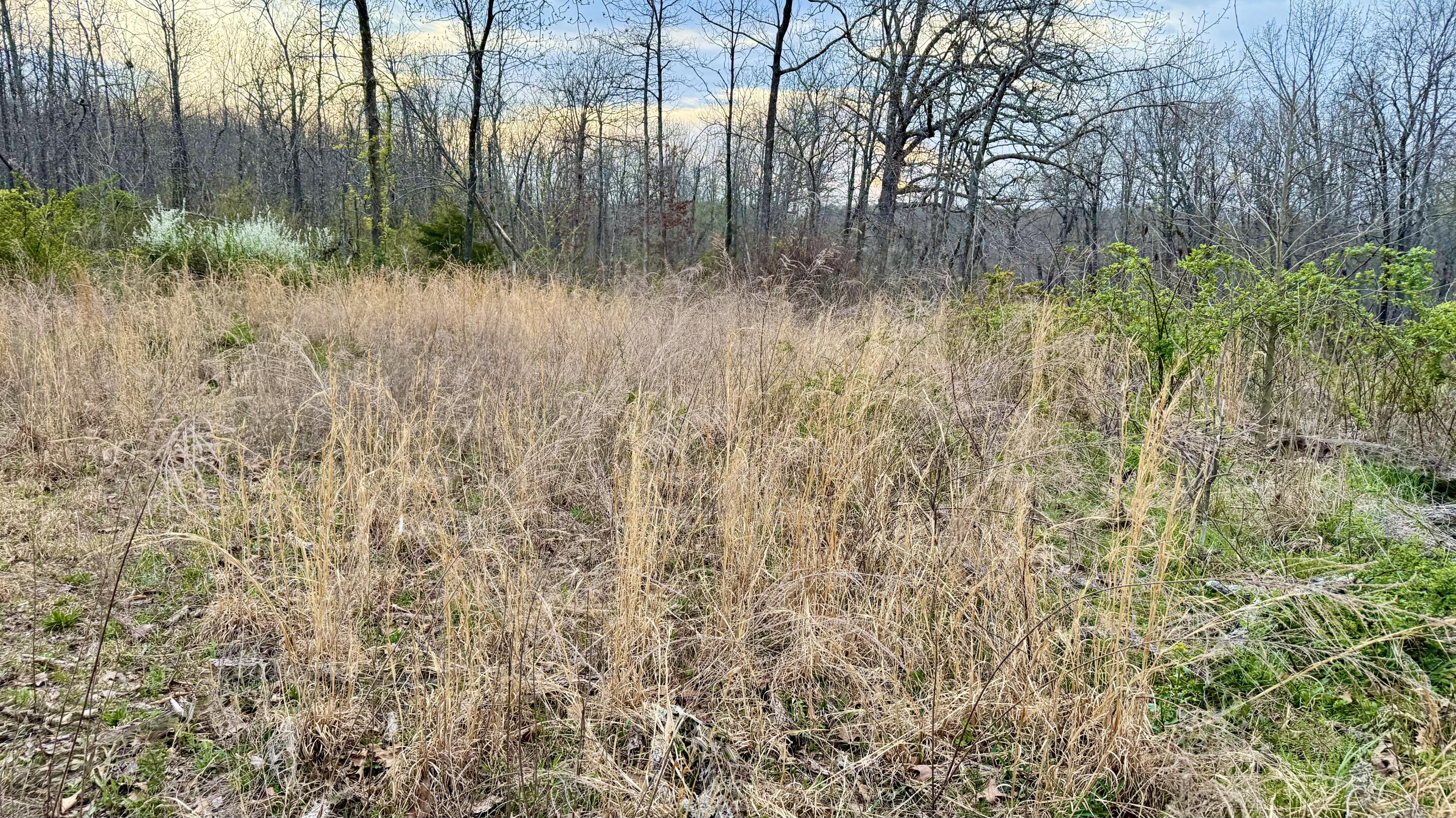 000 Huggins Road Property Photo 4