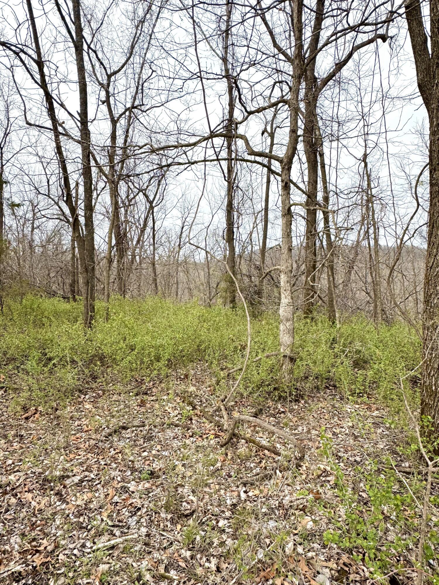 1178 Hart Road Road Property Photo 28