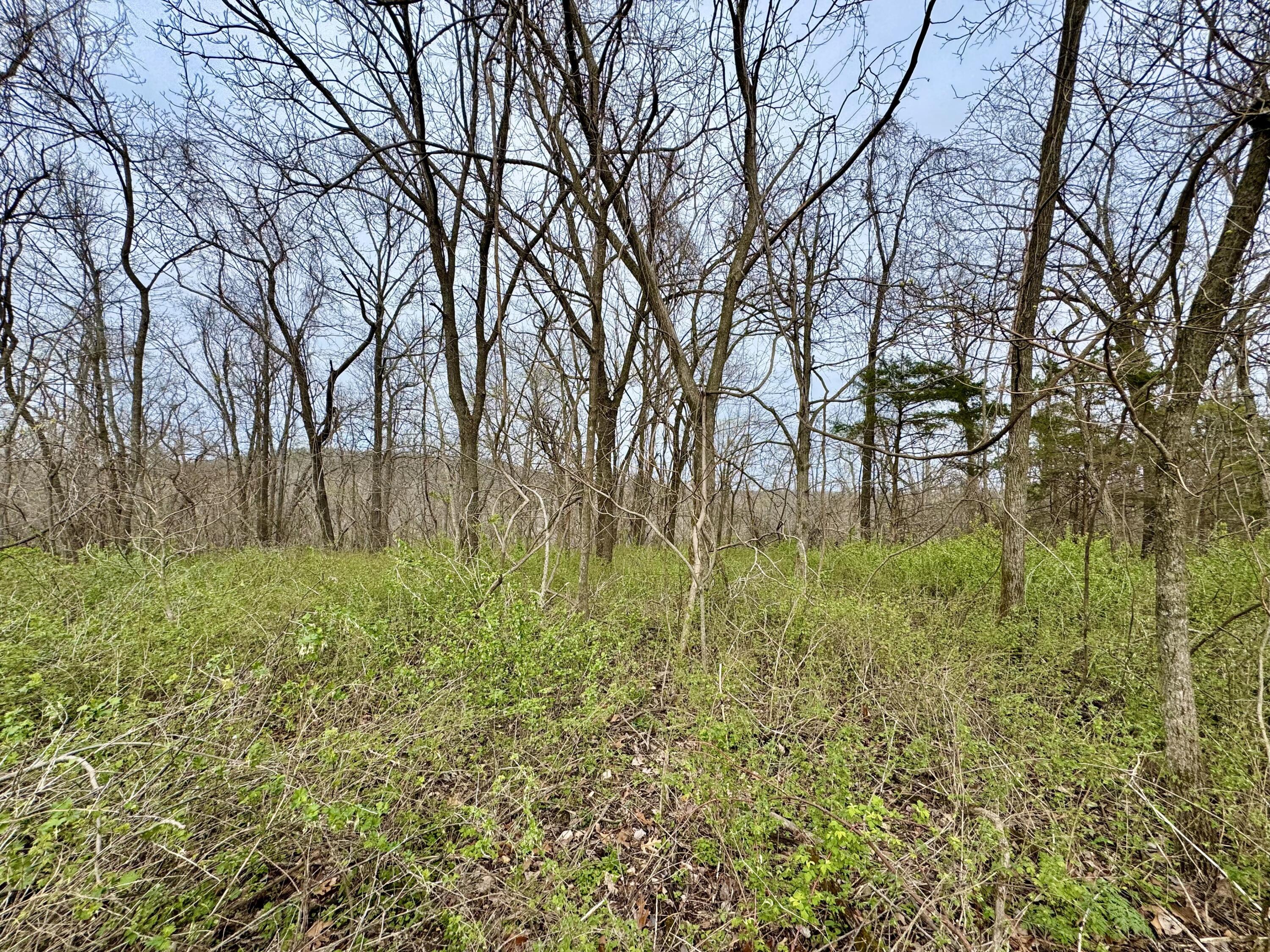 1178 Hart Road Road Property Photo 29