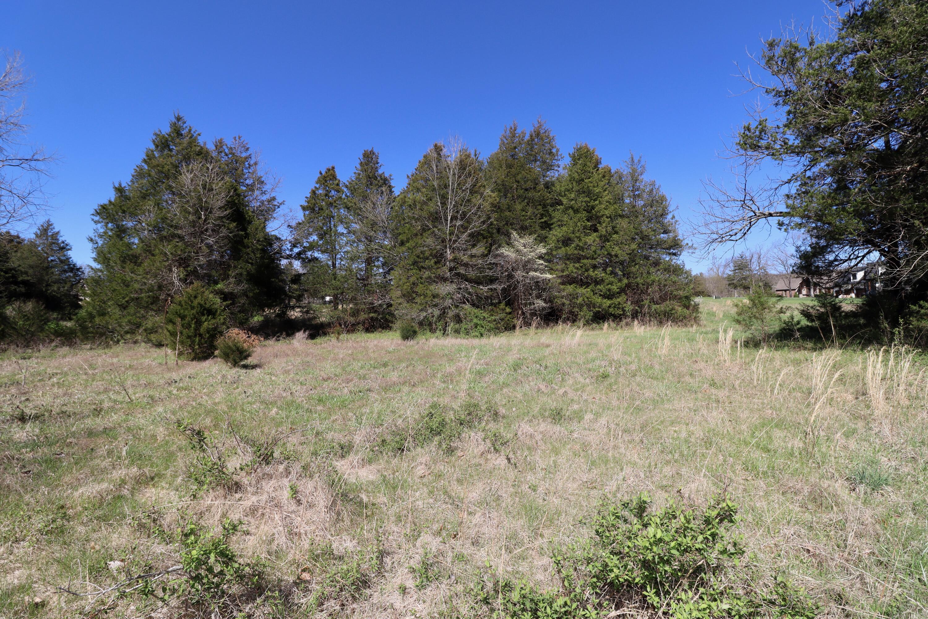 000 Seven Pines Drive Property Photo 5