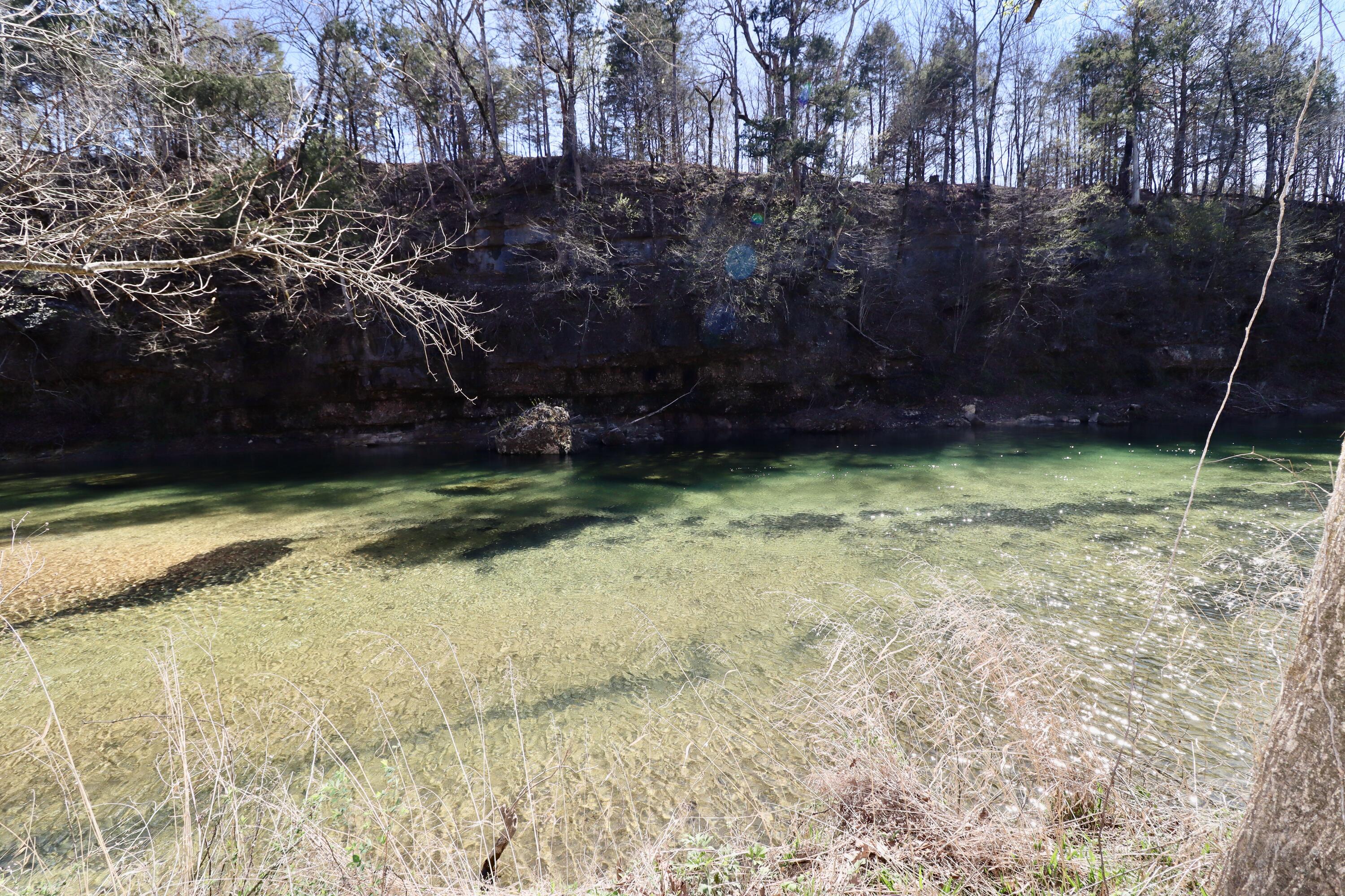 000 Seven Pines Drive Property Photo 6
