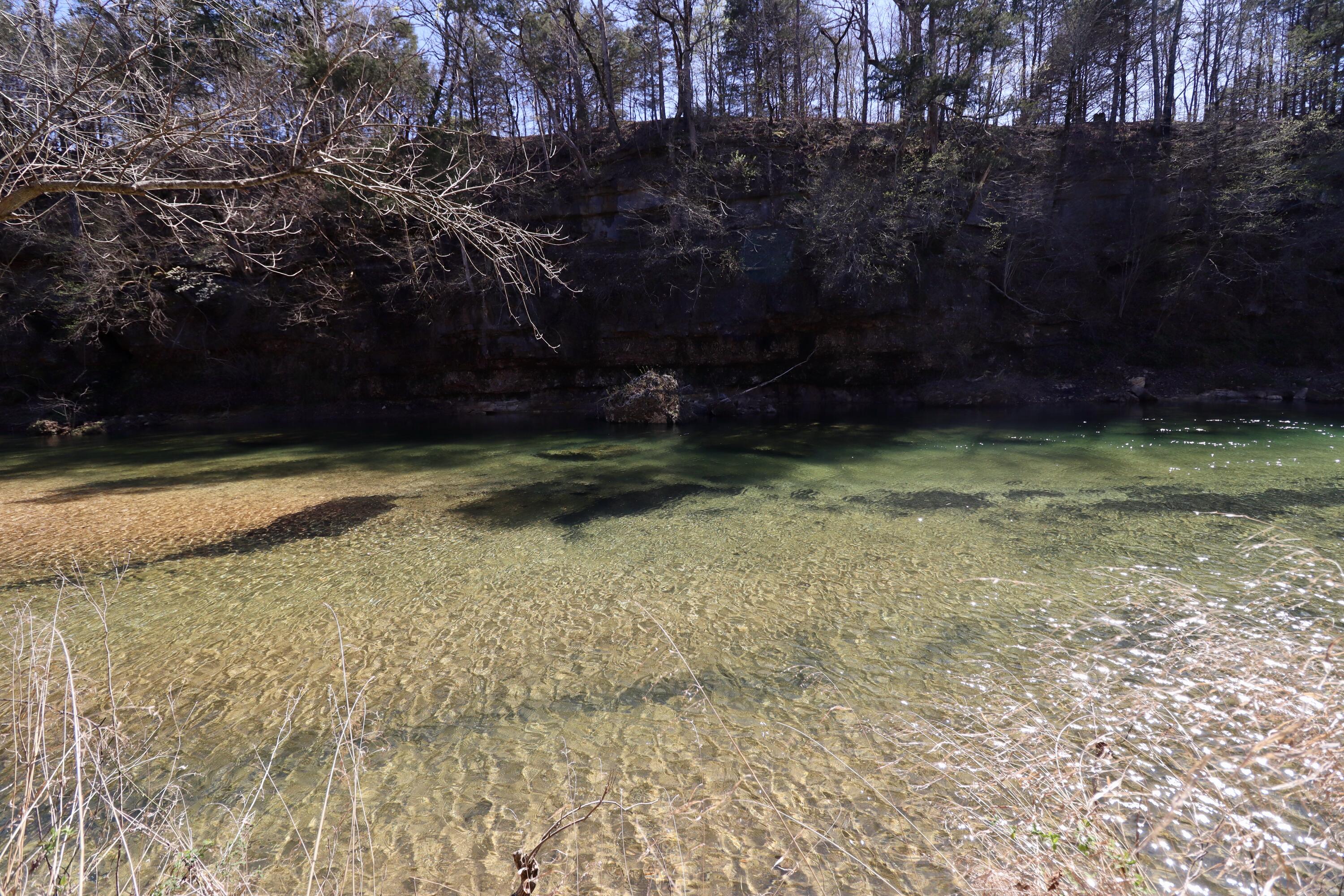 000 Seven Pines Drive Property Photo 7