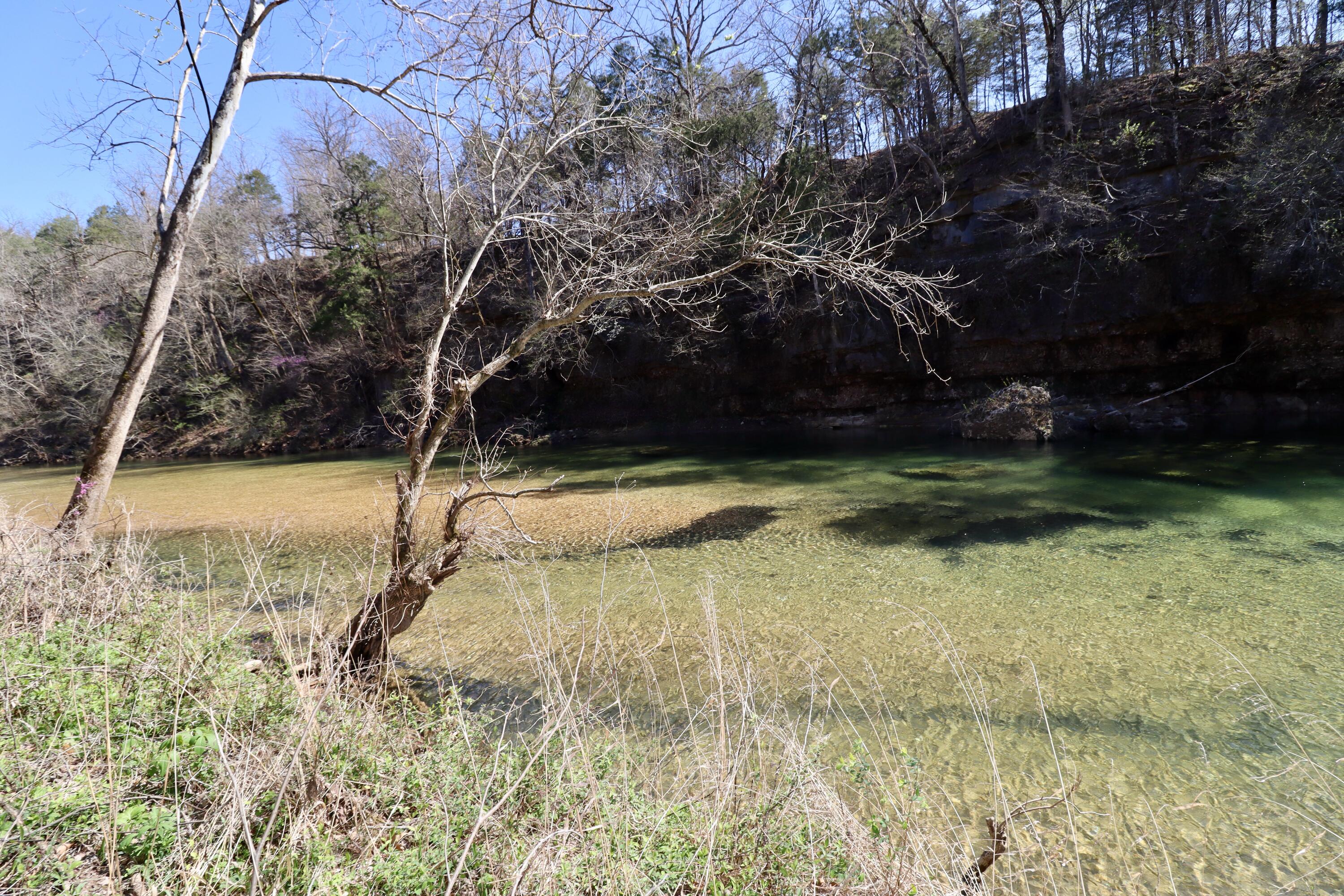 000 Seven Pines Drive Property Photo 8