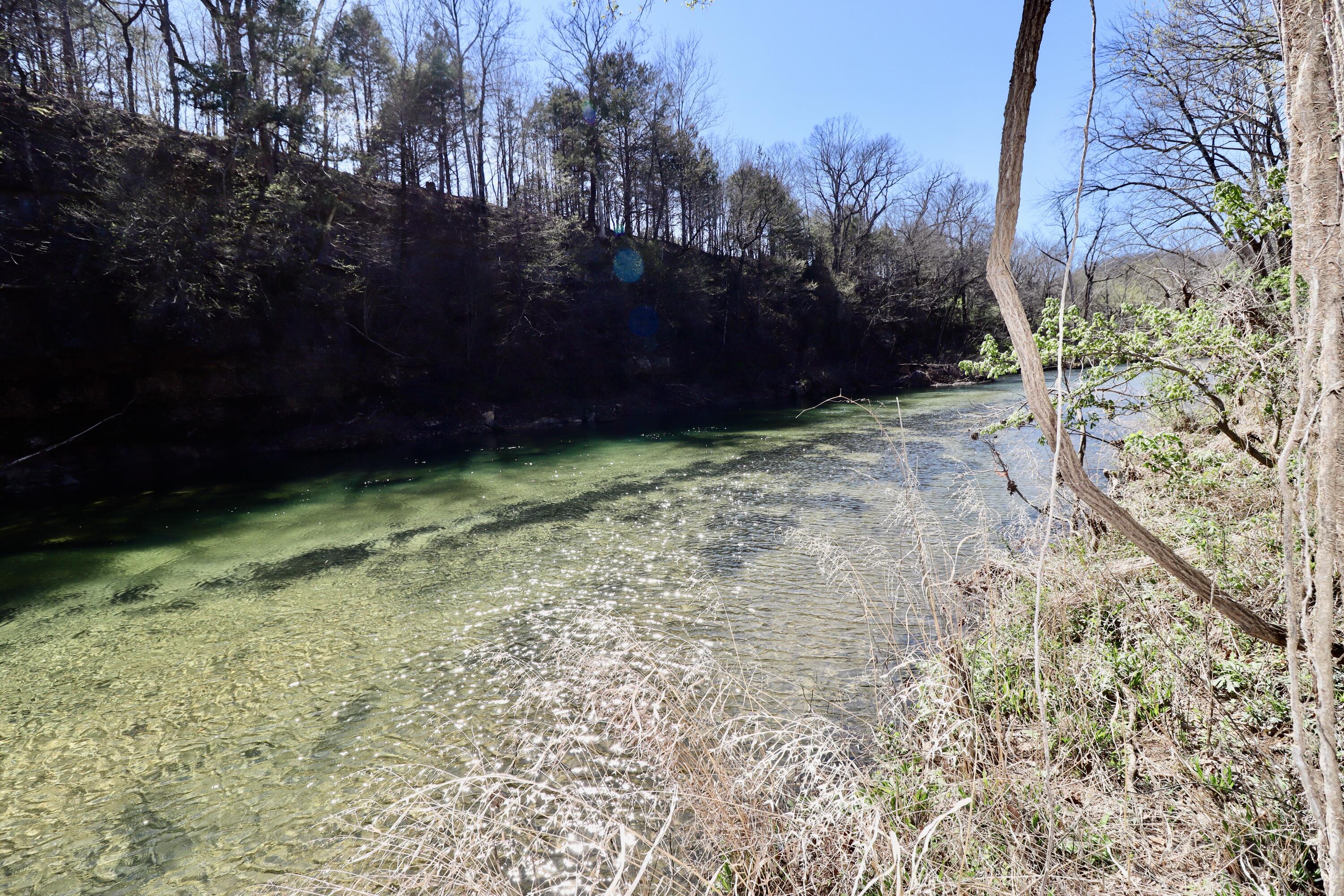 000 Seven Pines Drive Property Photo 10