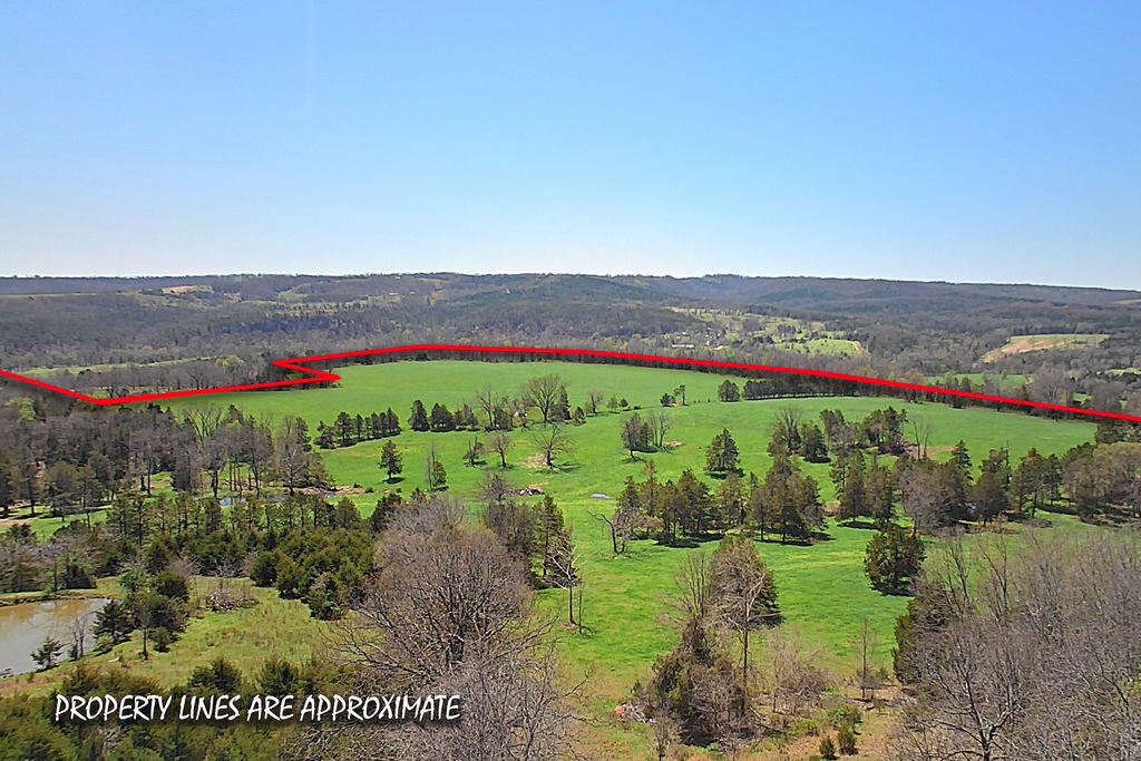 4021 Flat Creek Road Property Photo 5