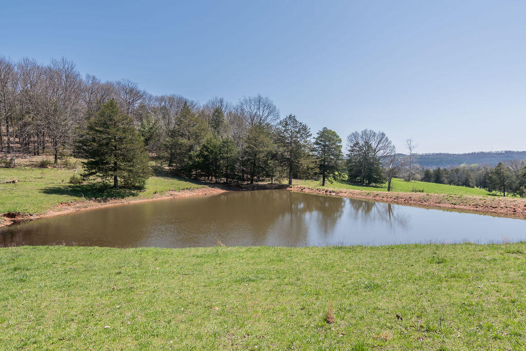 4021 Flat Creek Road Property Photo 11