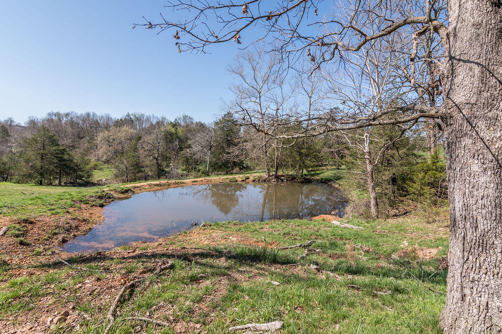 4021 Flat Creek Road Property Photo 12