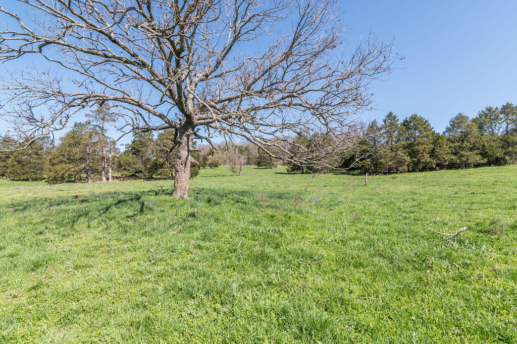 4021 Flat Creek Road Property Photo 14