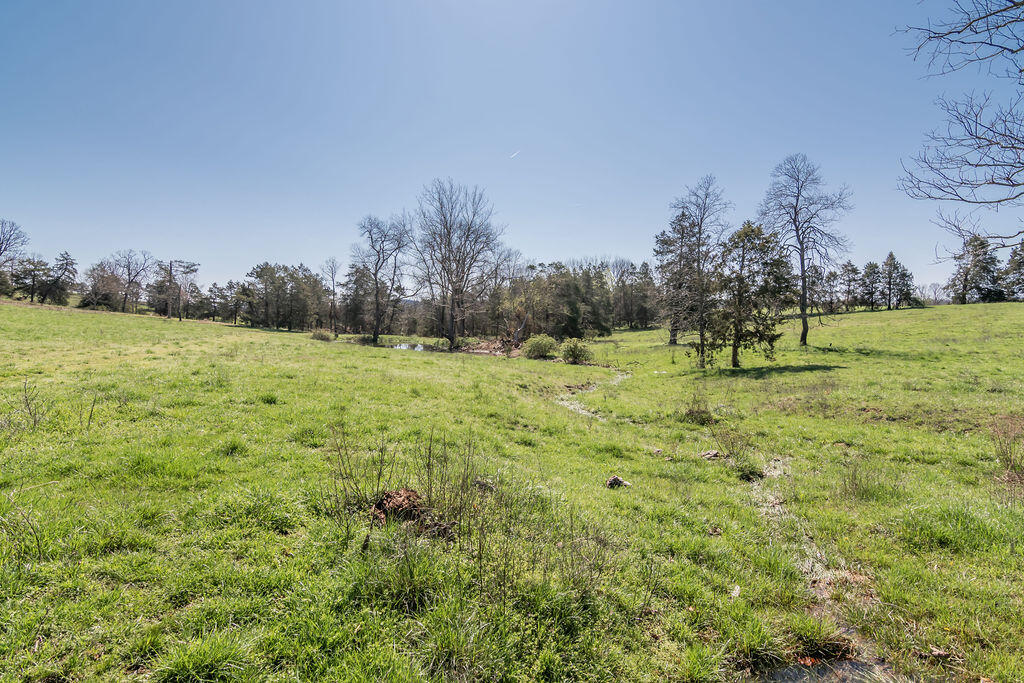 4021 Flat Creek Road Property Photo 16